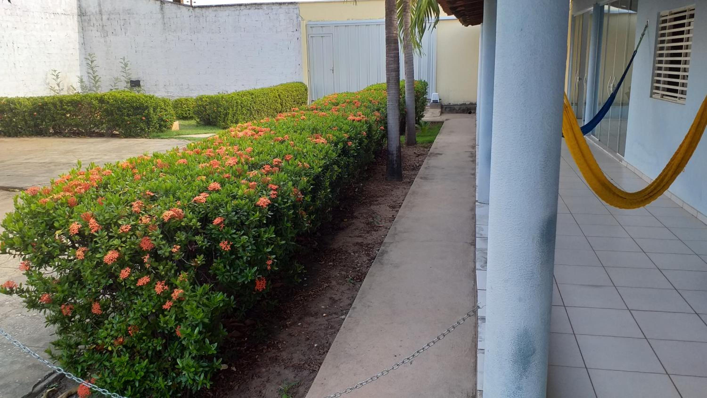 Hospedagem de daci, photo 17