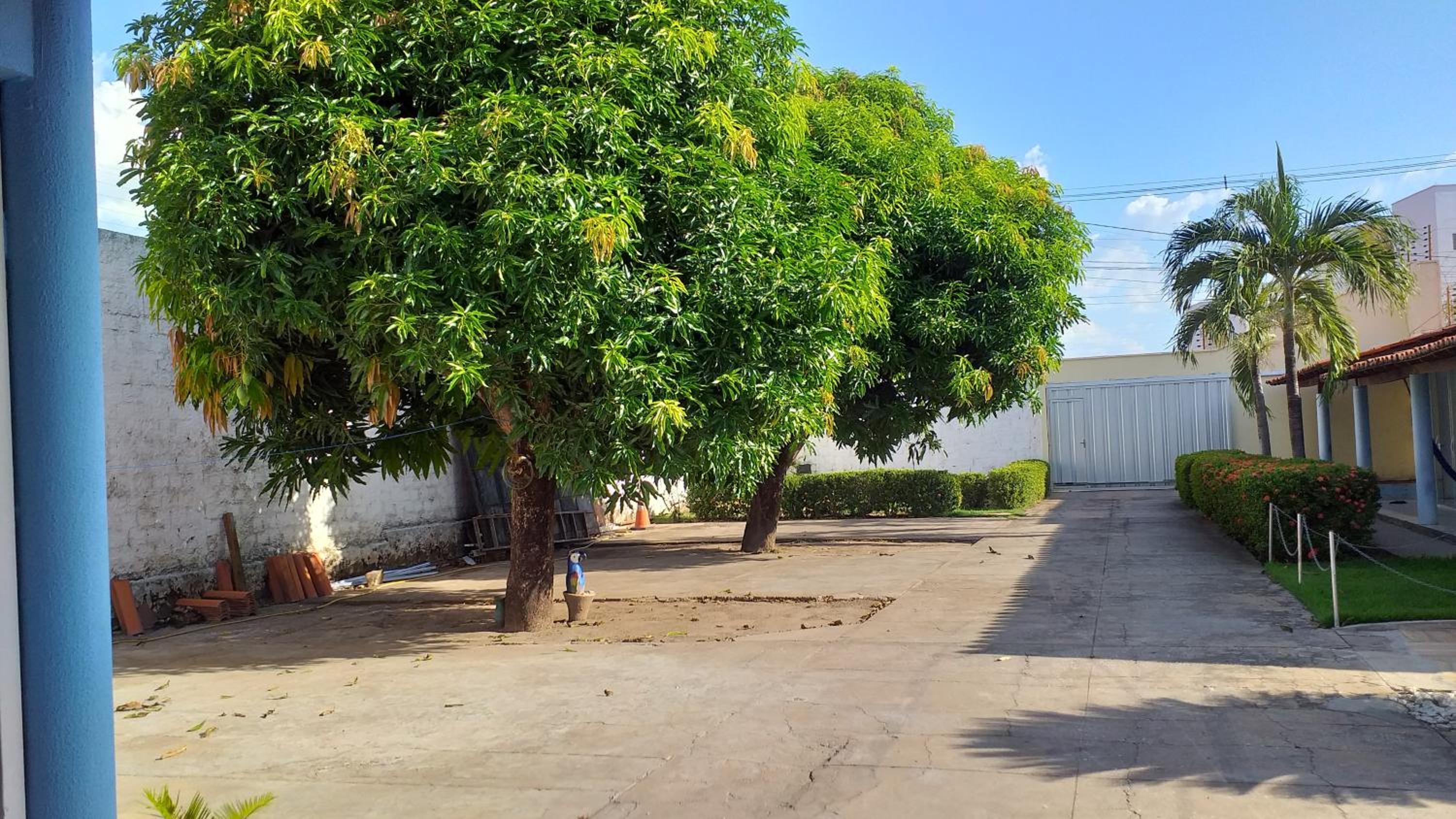 Hospedagem de daci, photo 9