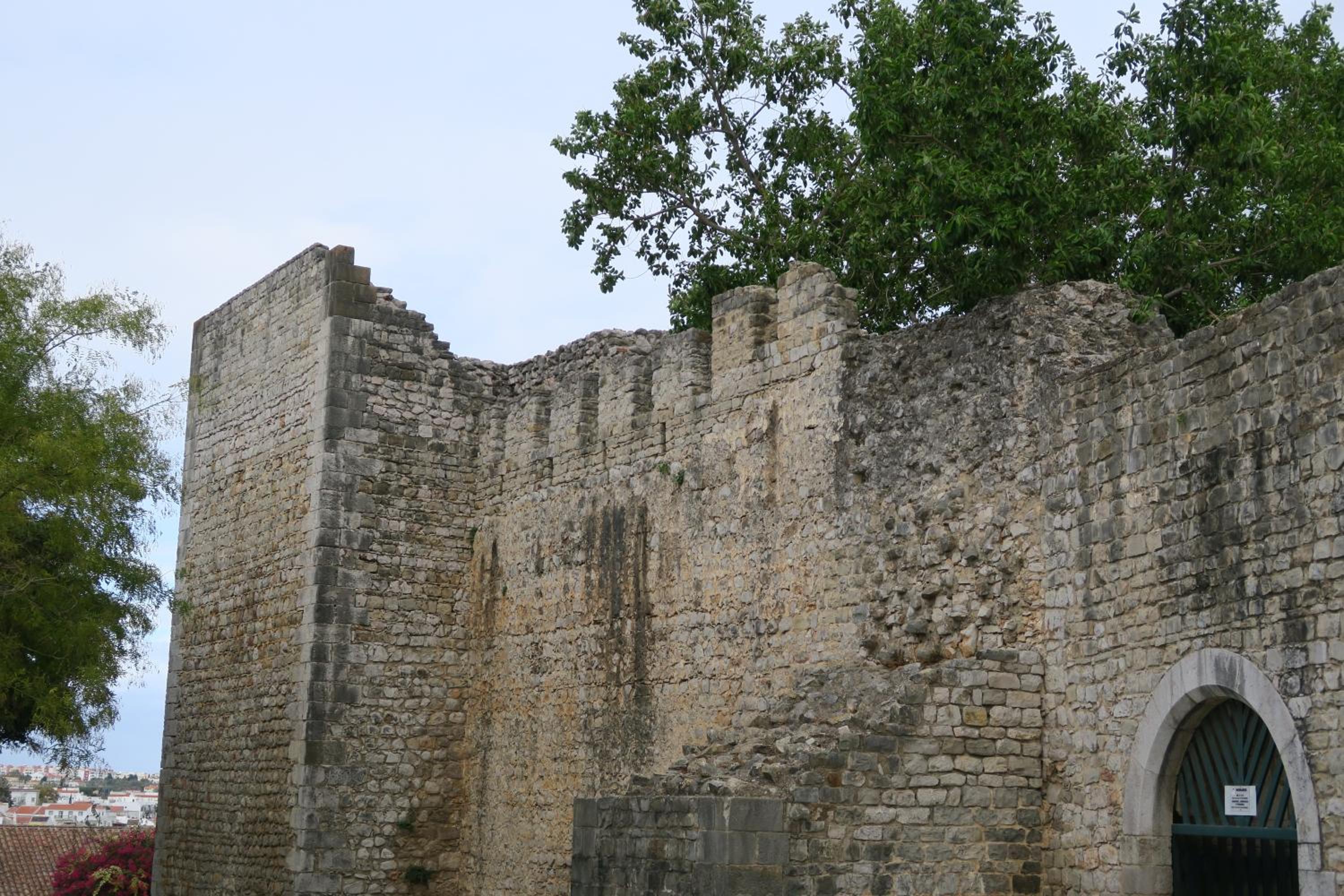 Photo 27