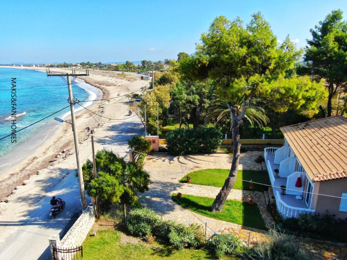 Makis & Fani Homes view 5