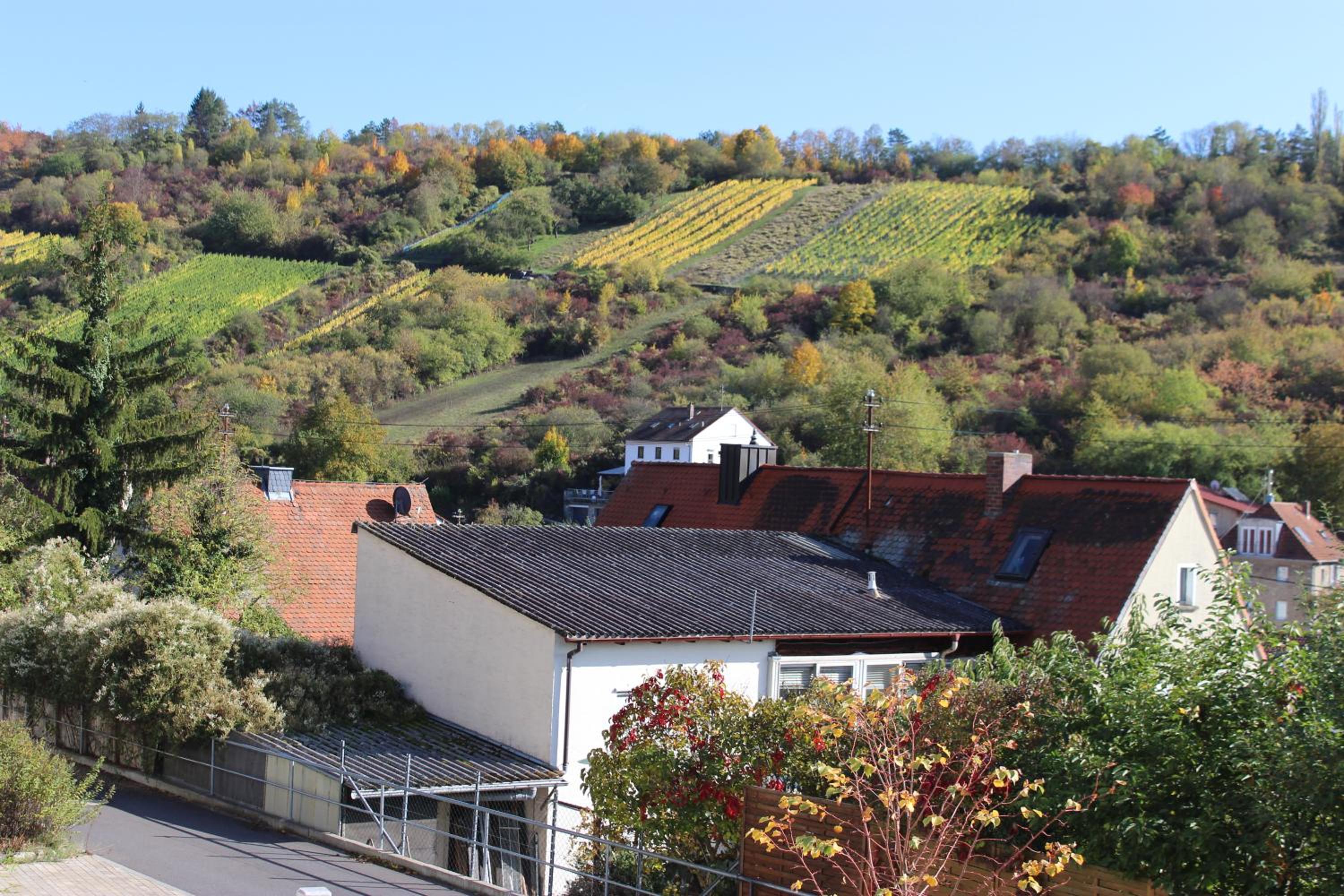 Ferienwohnung Markert - Neben den Weinbergen view 4