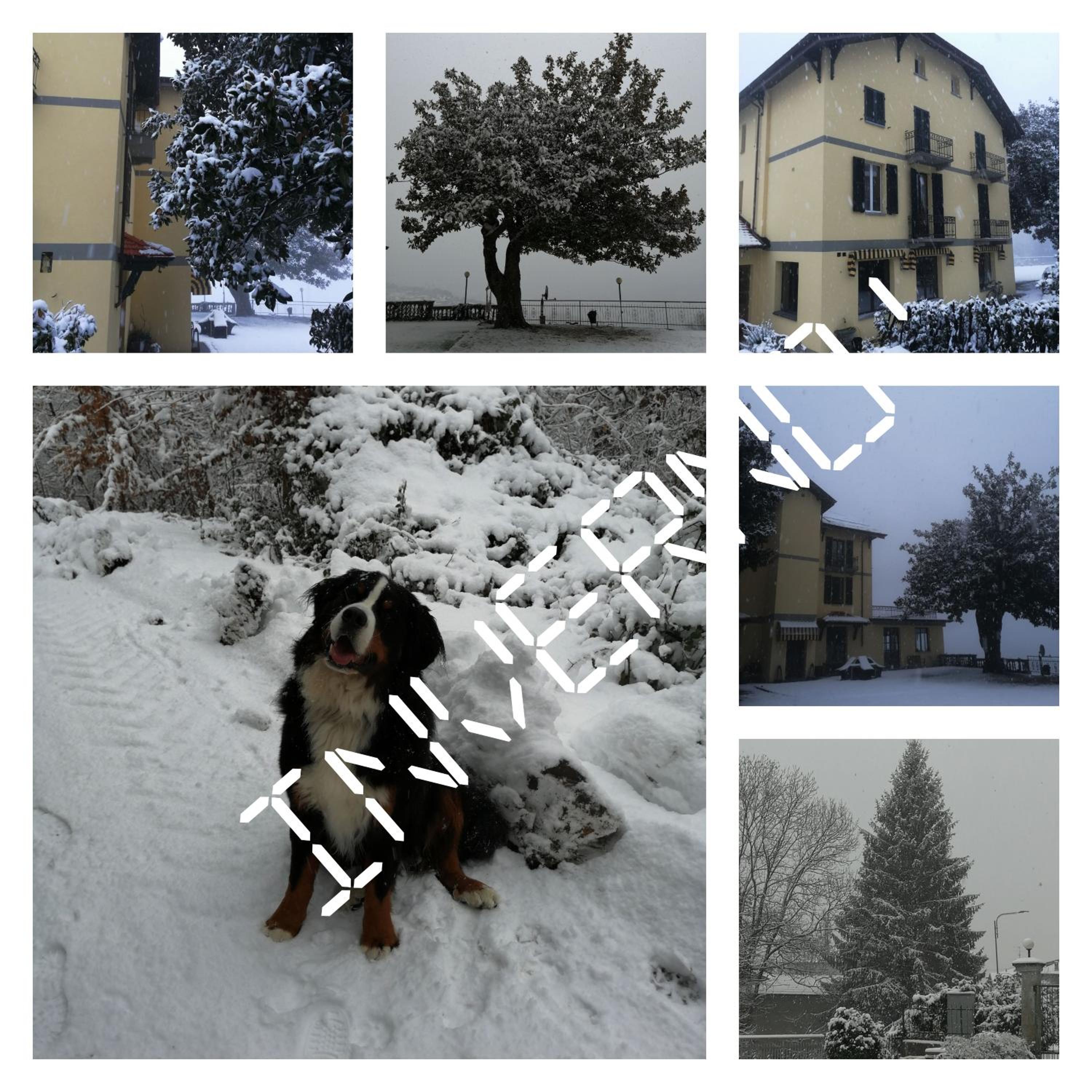 Photo 12