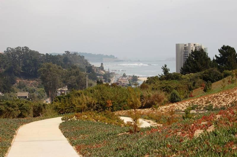 Algarrobo Laguna Bahia Full