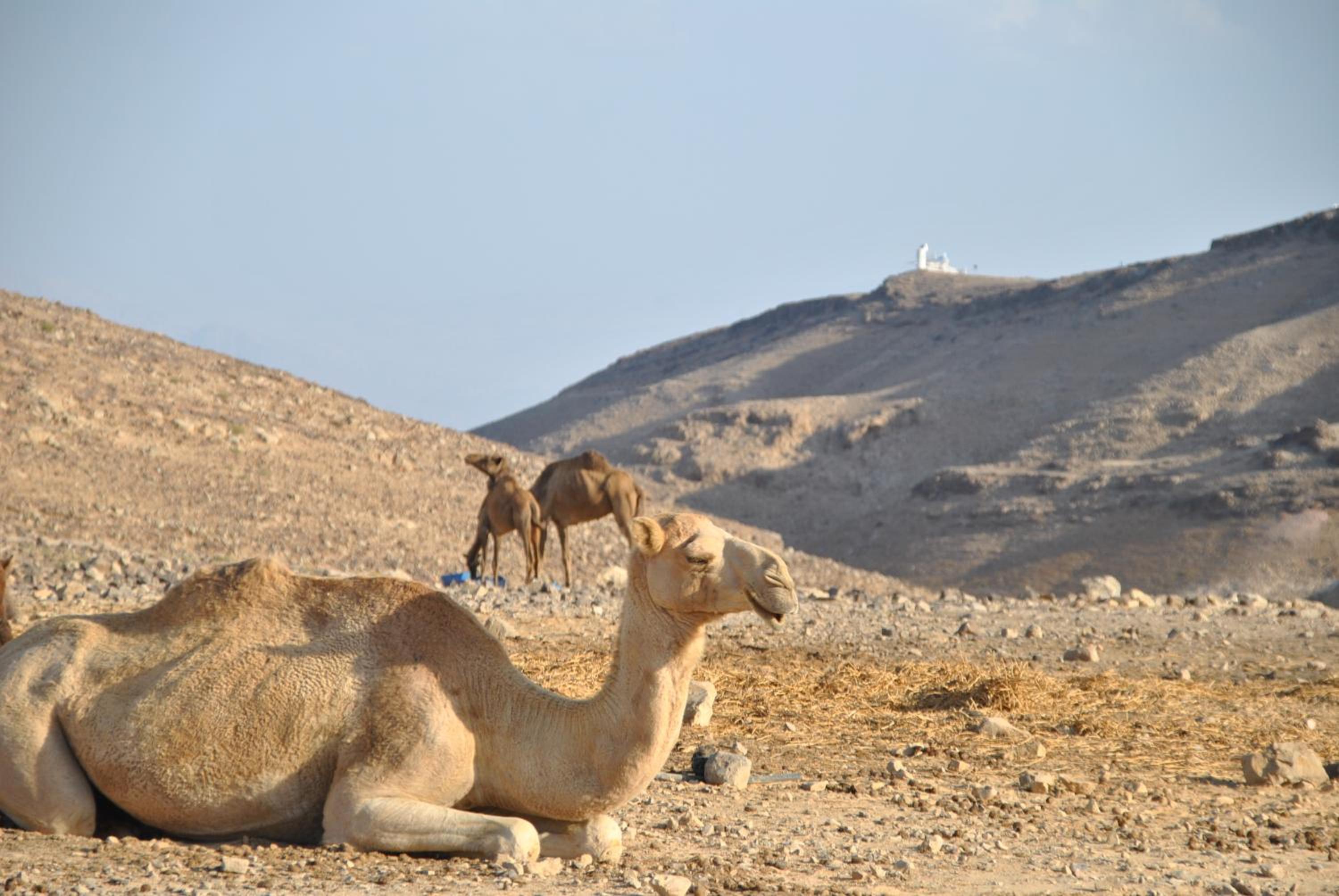 Photo 46