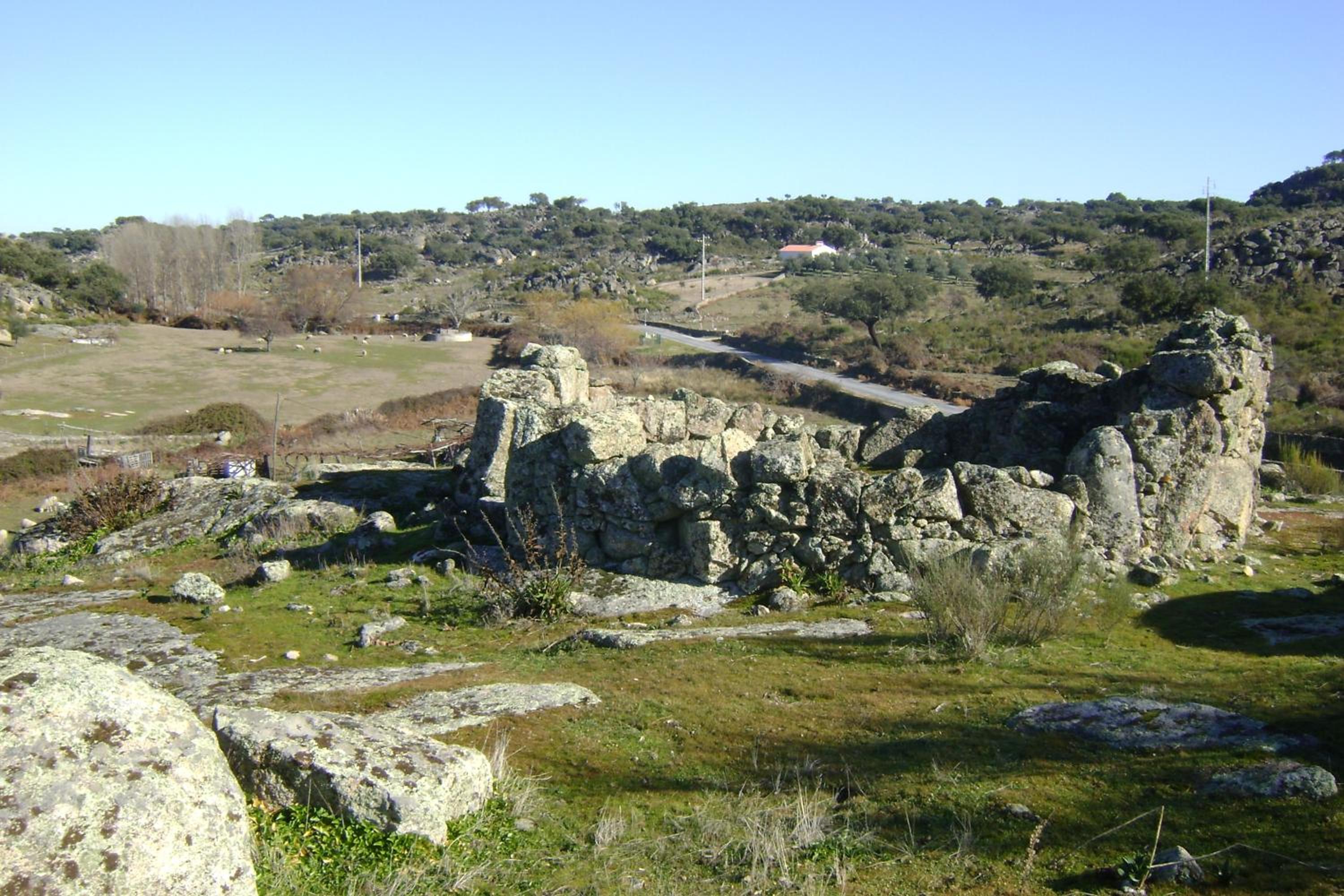 Photo 46