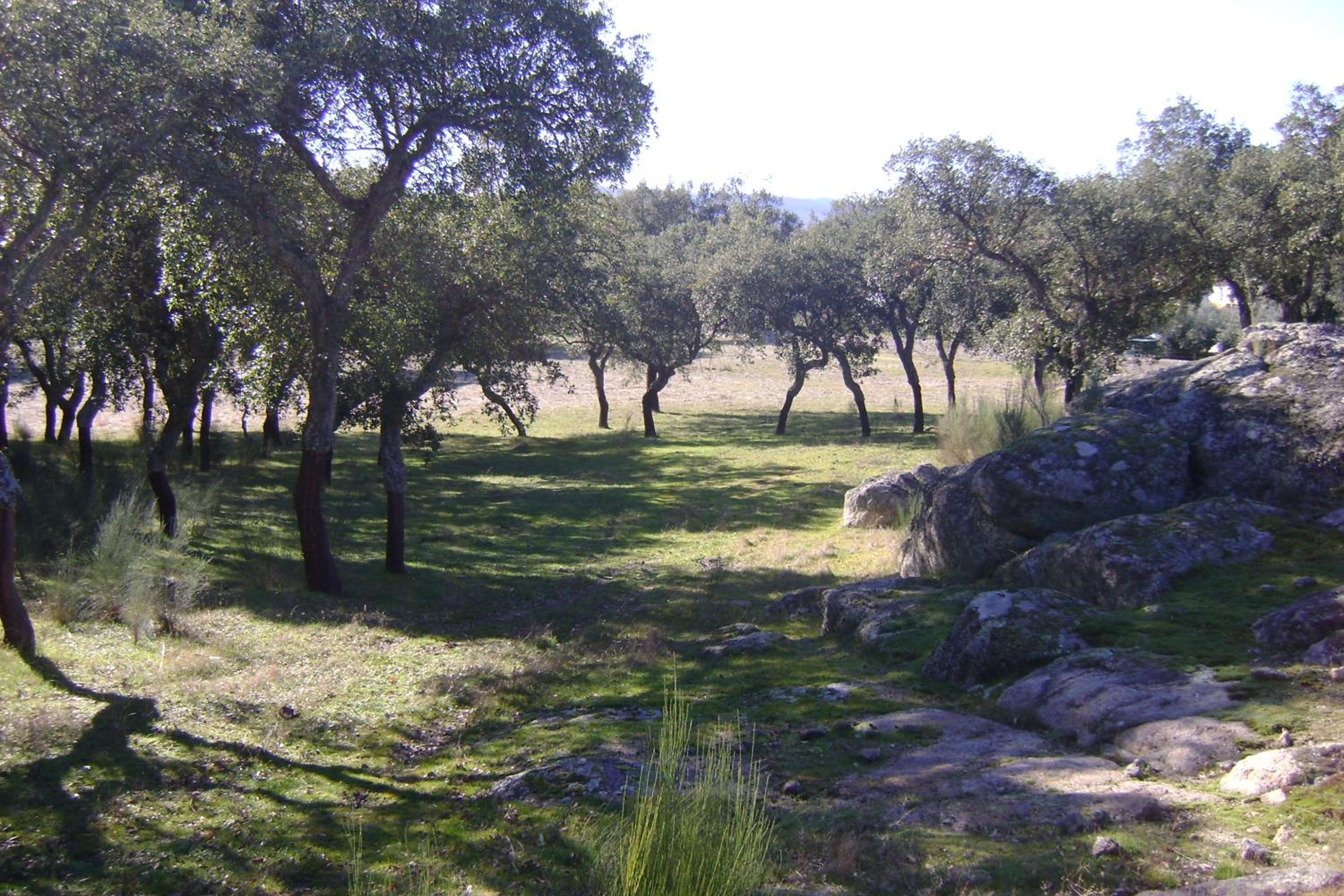 Photo 47