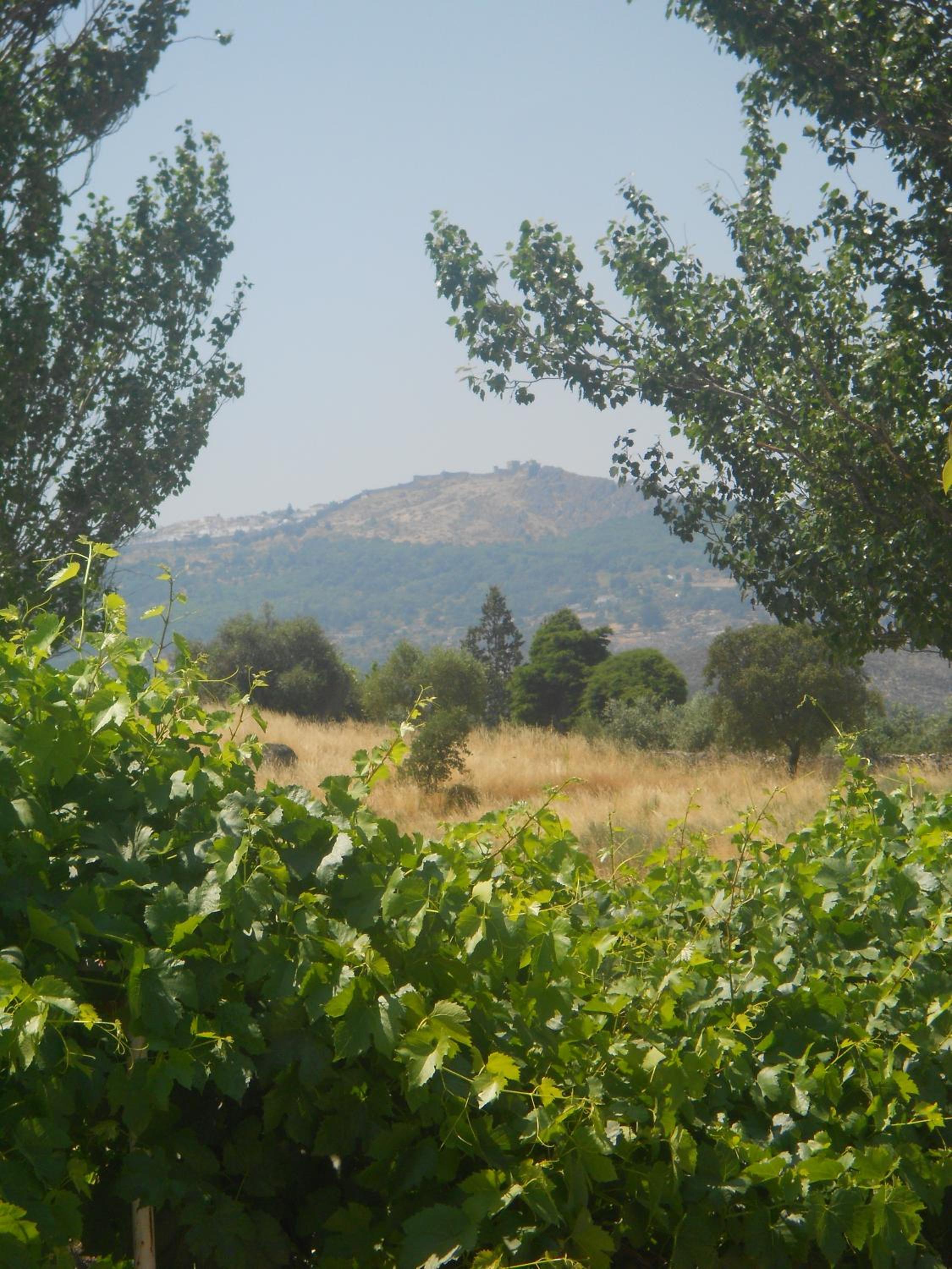 Photo 49