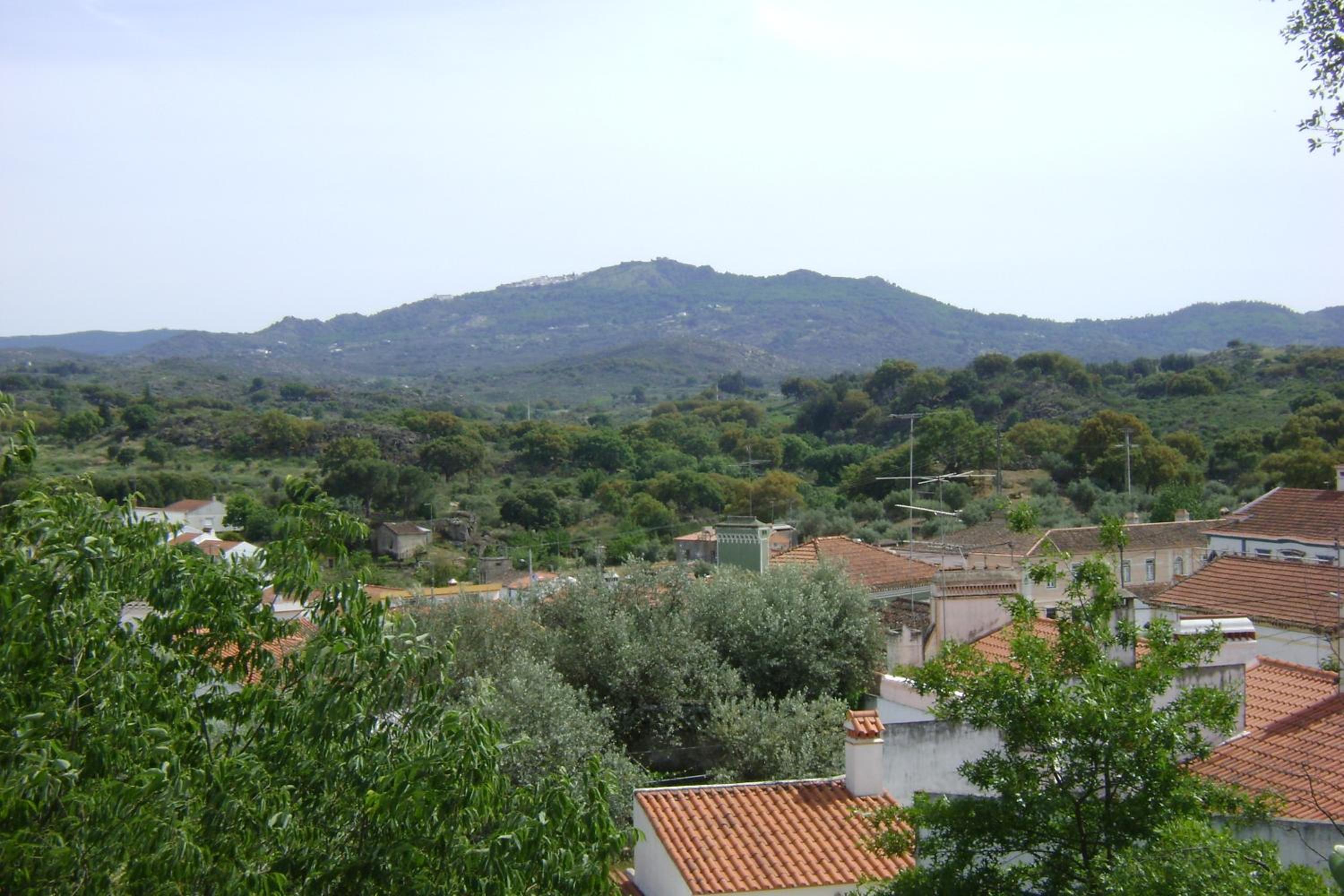 Photo 40