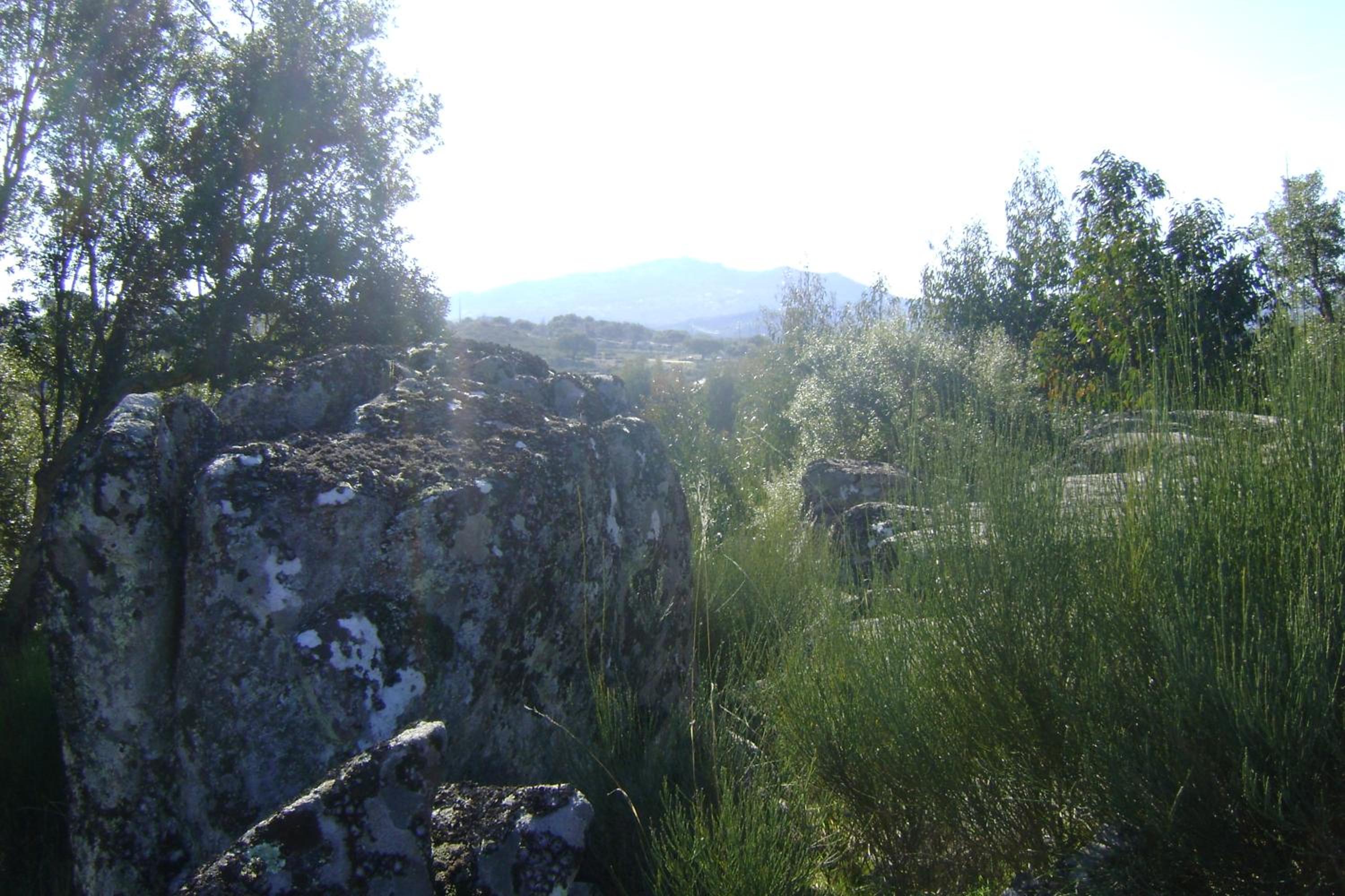 Photo 43
