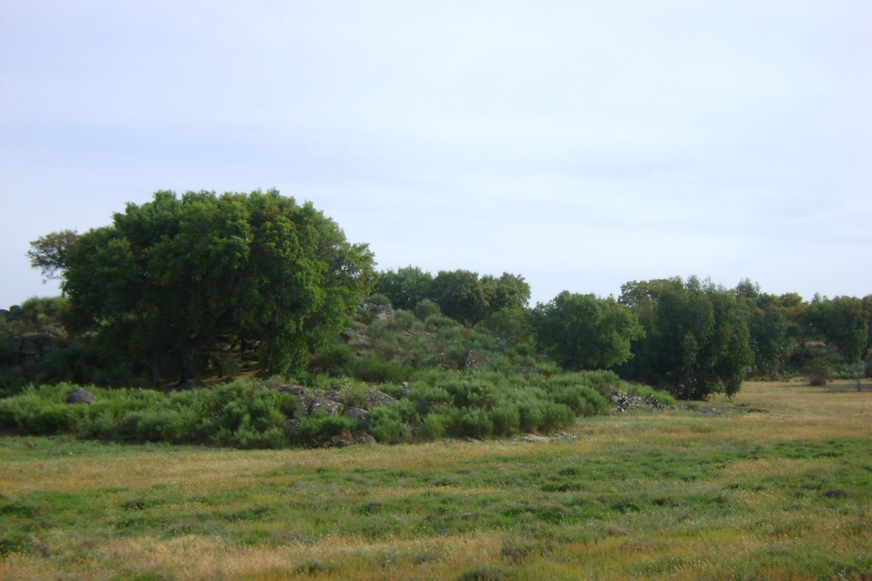 Photo 48