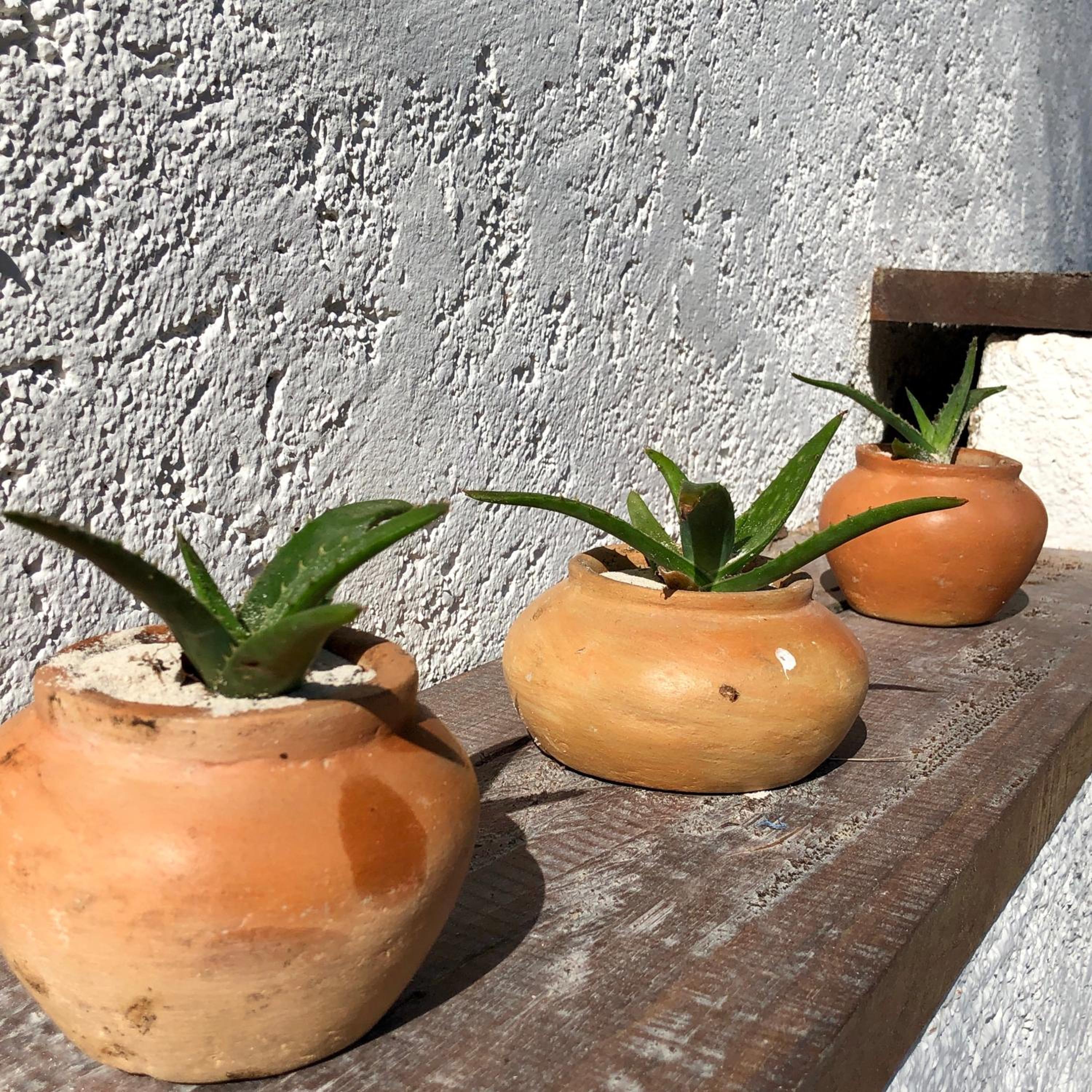 Casa Carolina Tulum