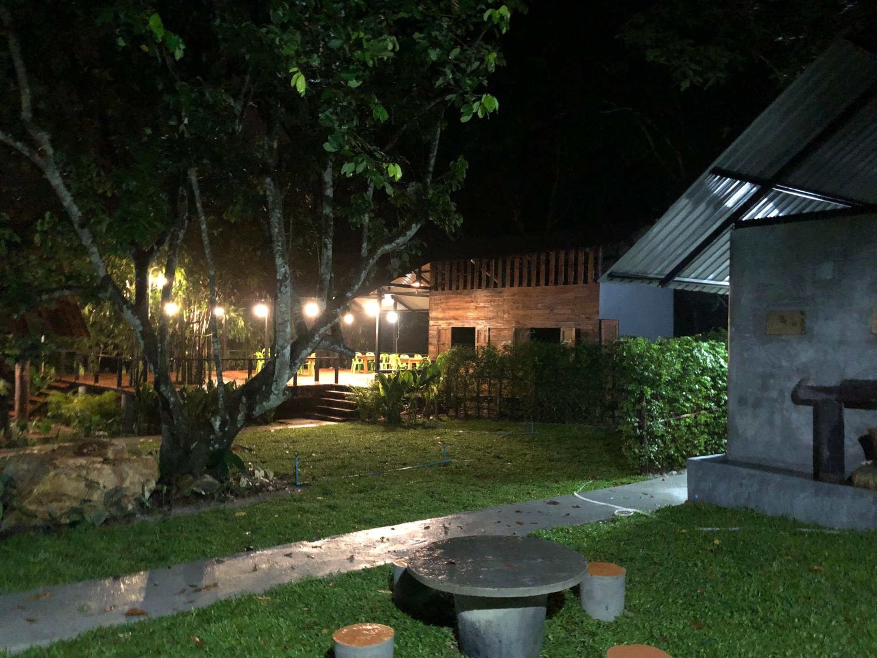 Photo 43