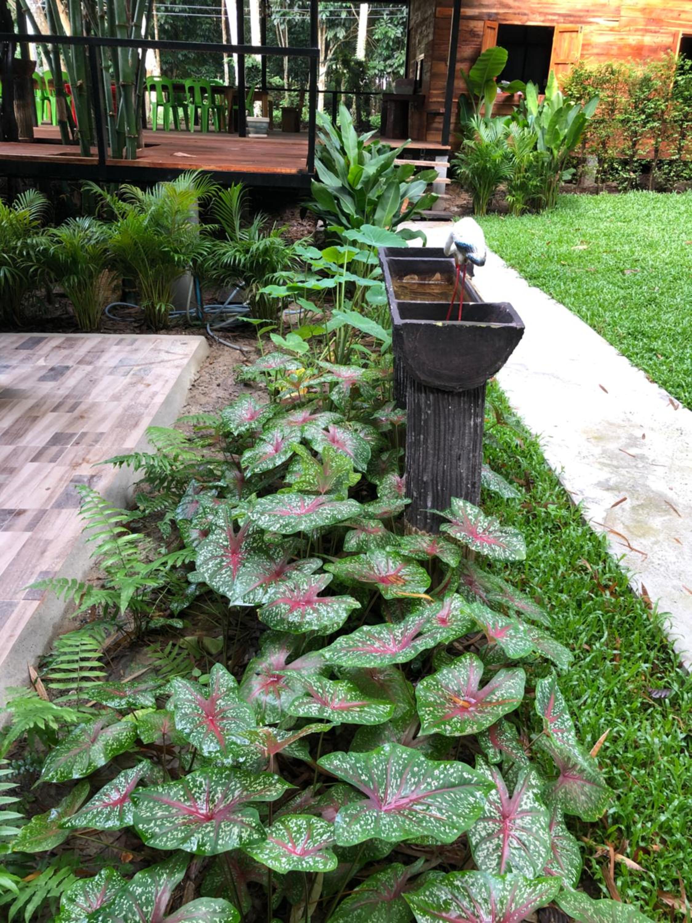 Photo 42