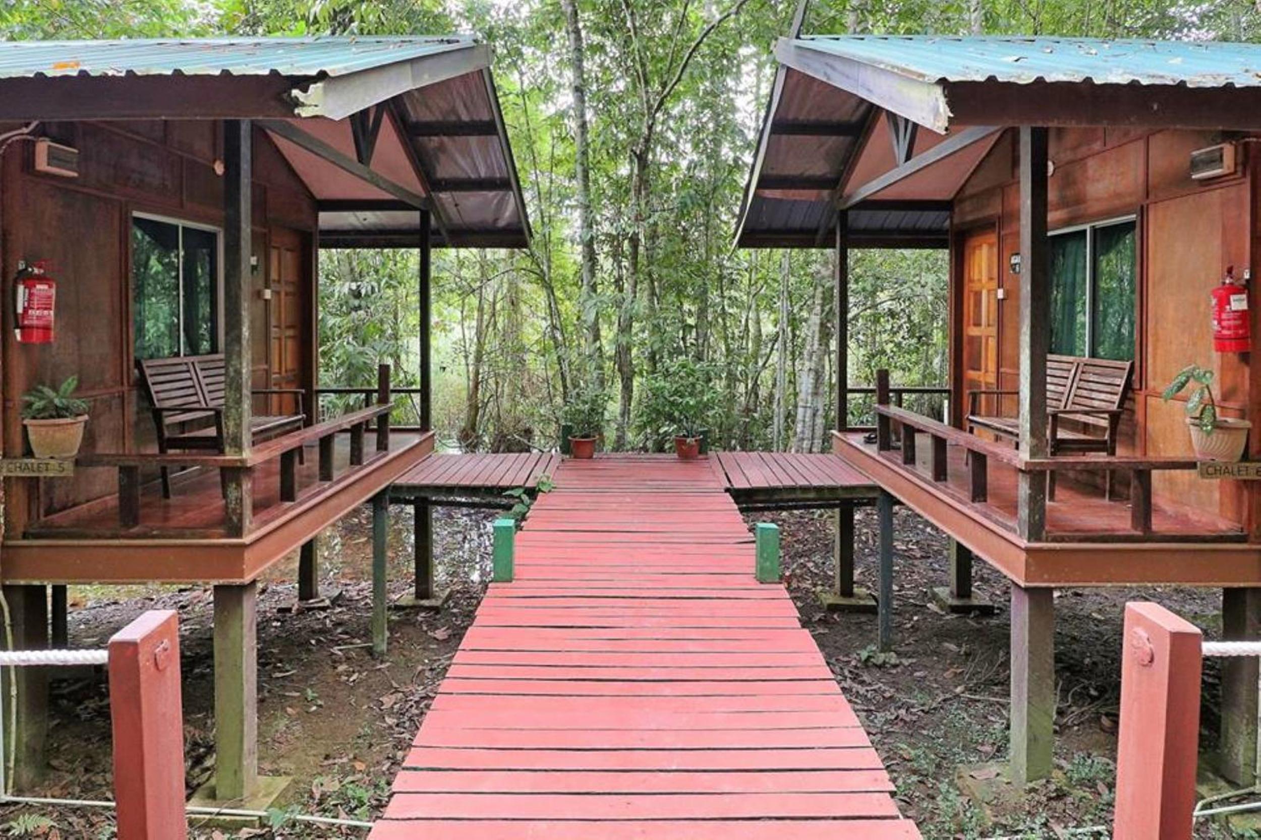 Tanini Kinabatangan Formerly known as Nature Lodge Kinabatangan photo 7