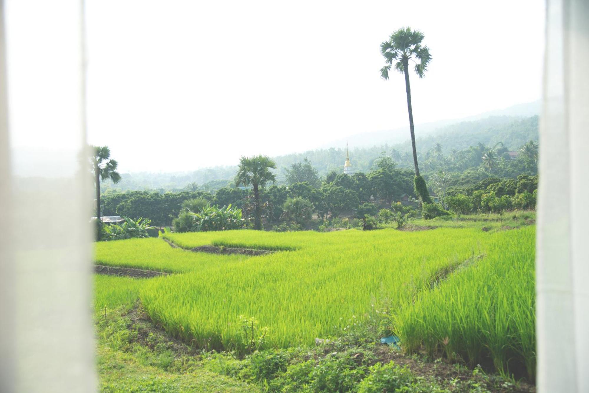 Suan Sook Homestay
