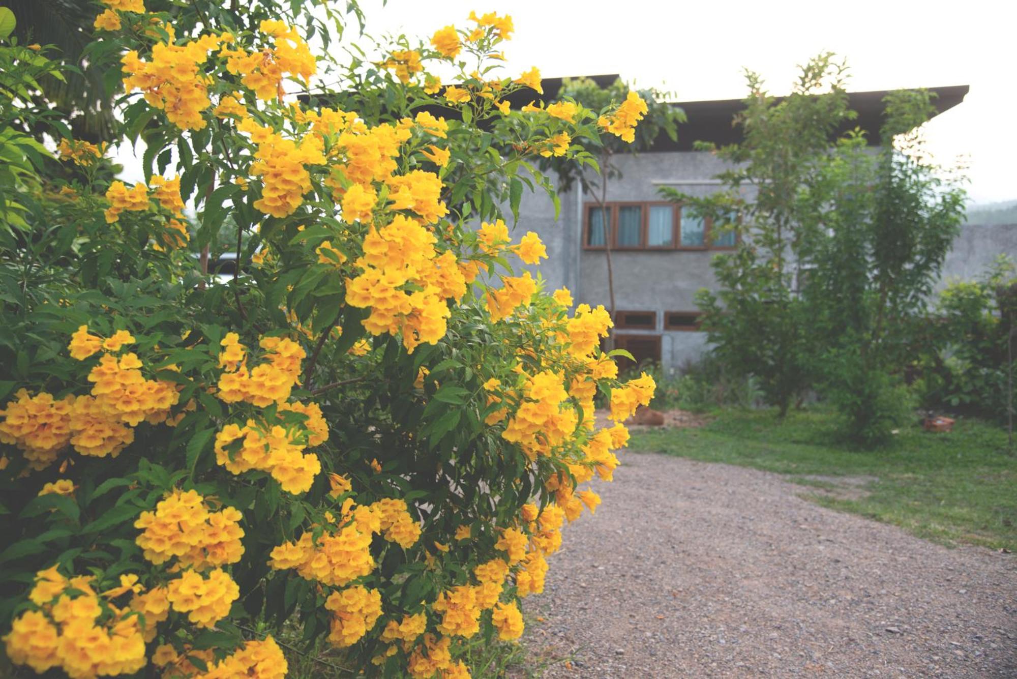 Suan Sook Homestay