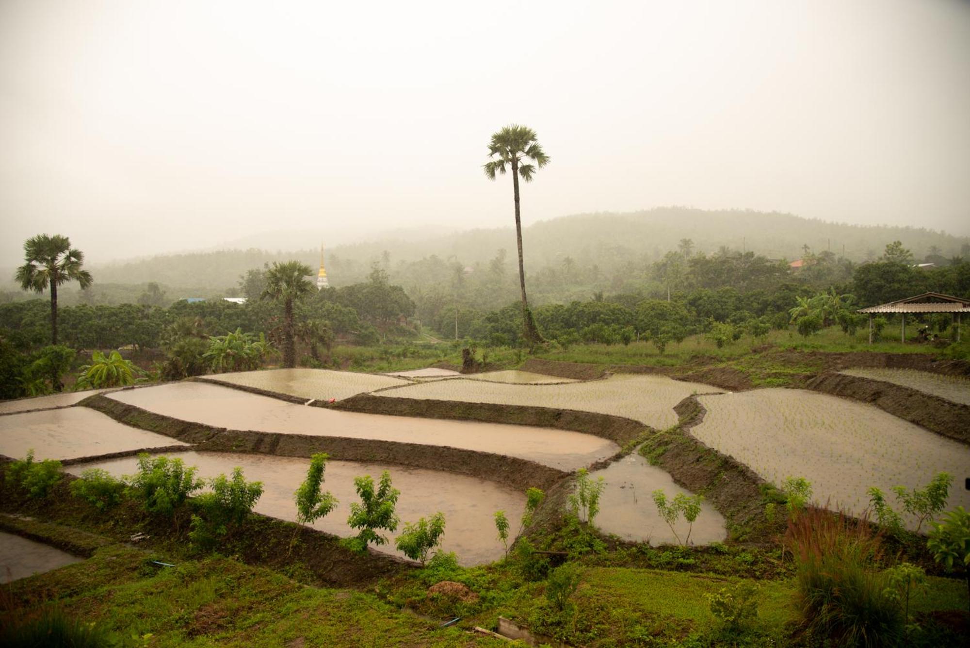 Suan Sook Homestay