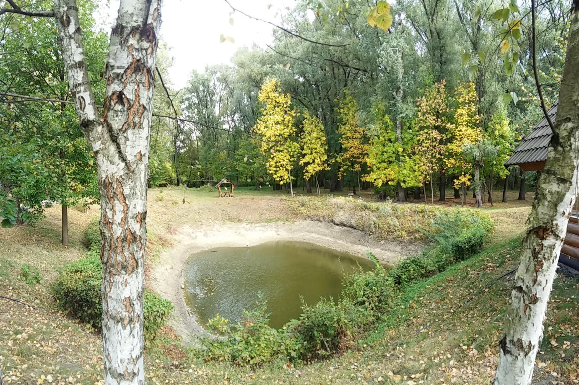 Photo 36