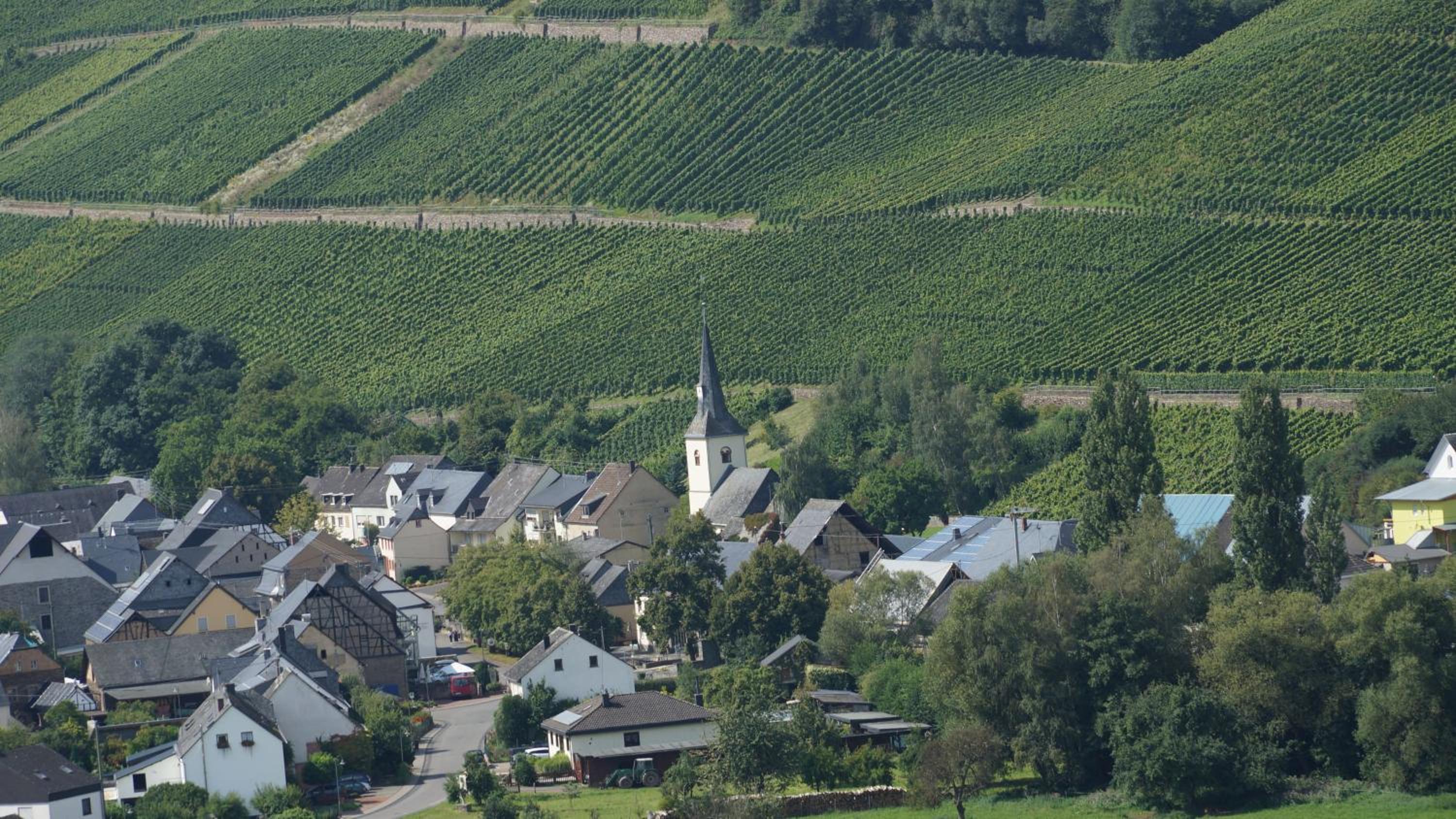 Altes Winzerhaus - Ferienhaus