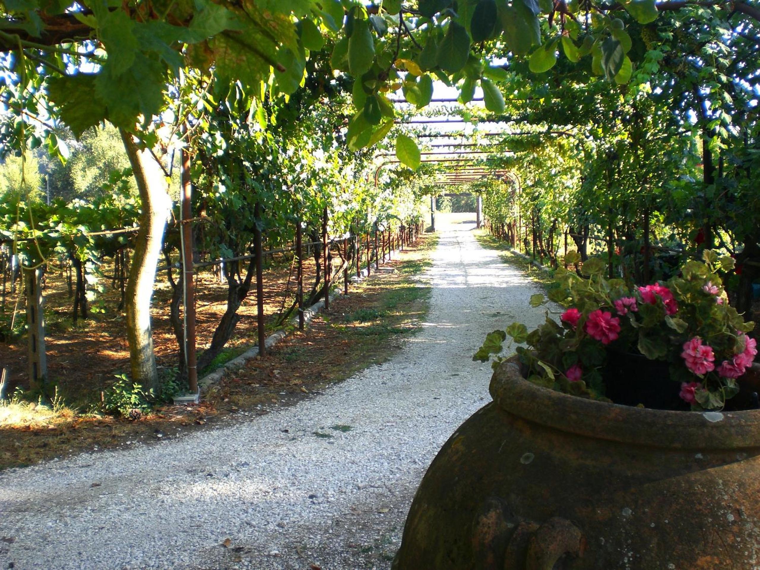 Valle degli Arci