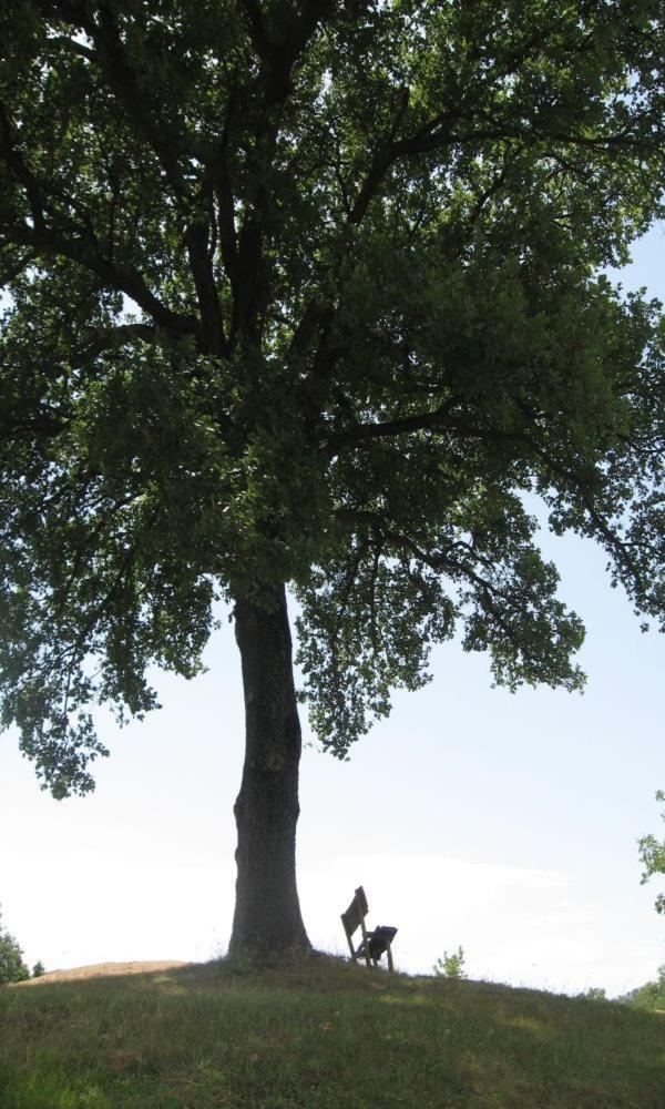 Cà Maggio Nuovo