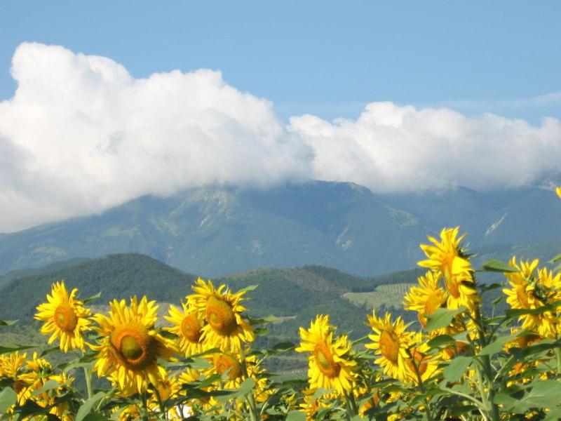 Cà Maggio Nuovo