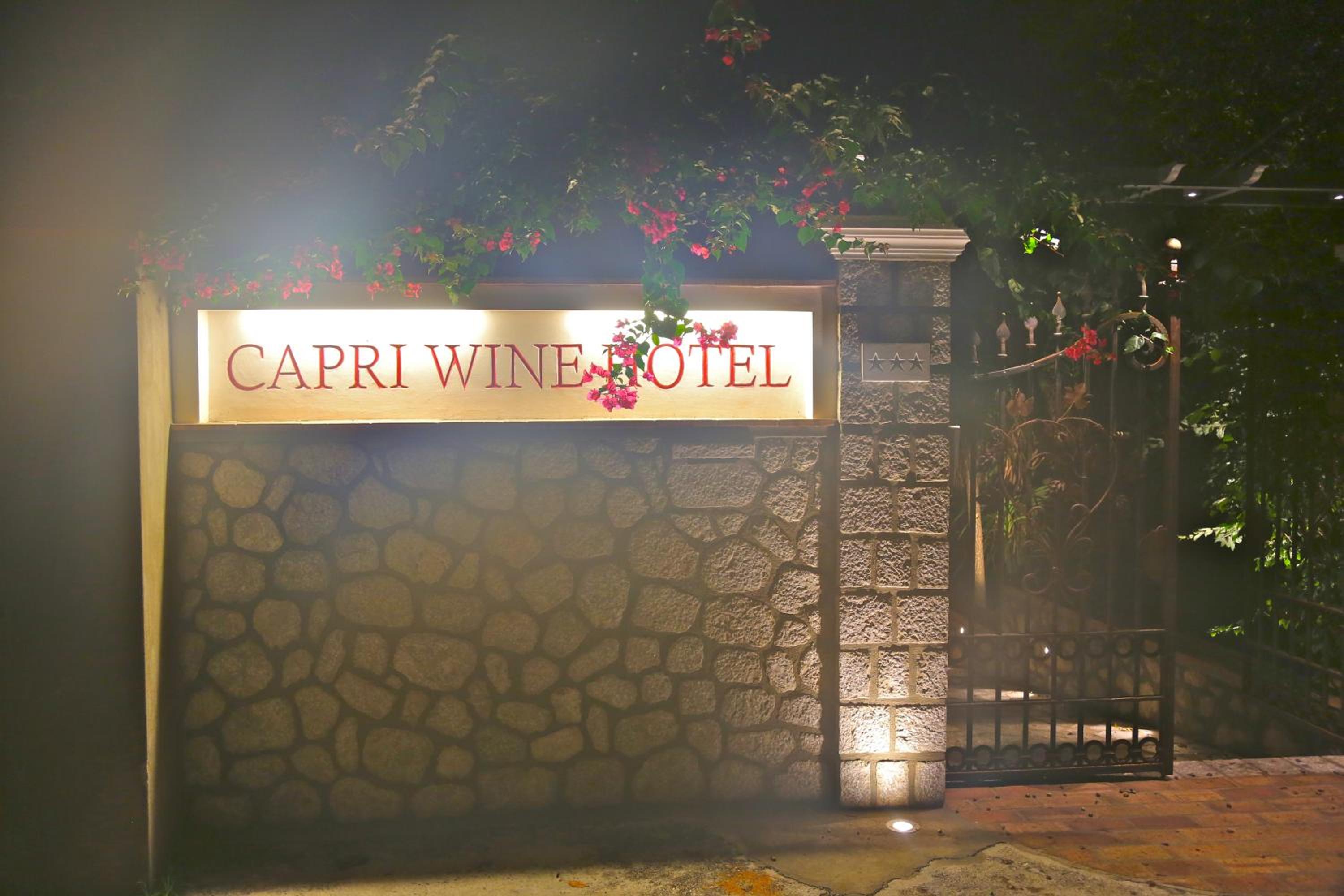 Hotel Capri Wine Hotel - Image 1