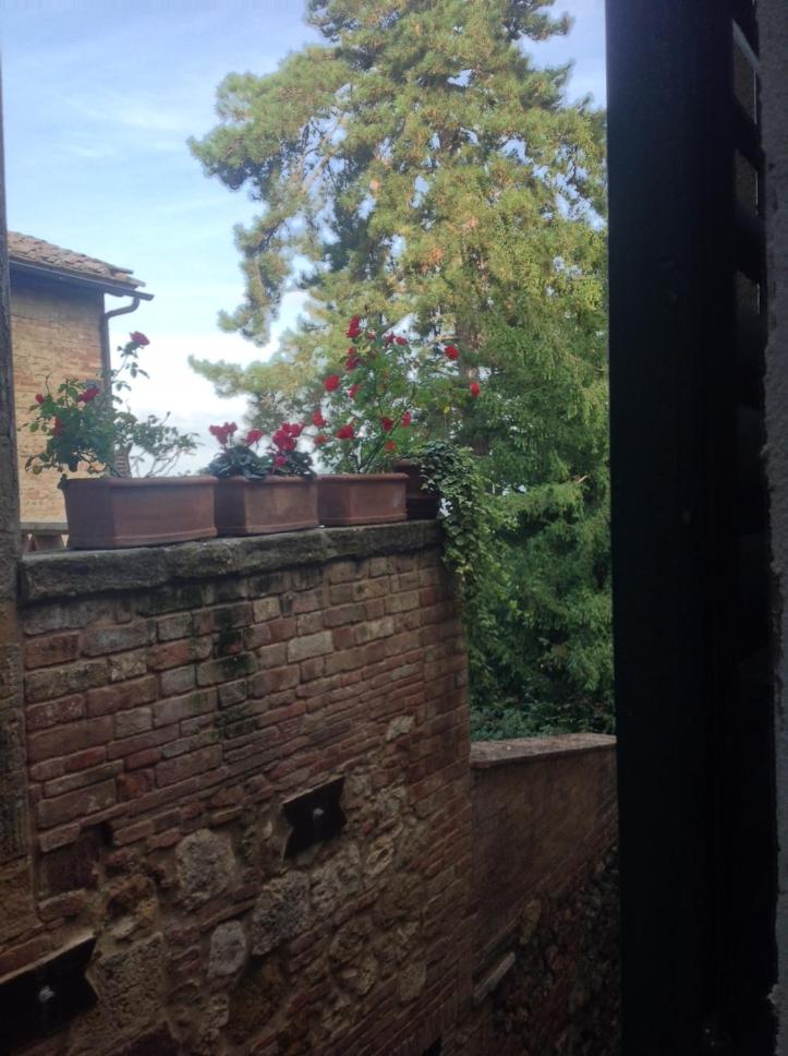 Palazzo Tombesi Trecci view 5