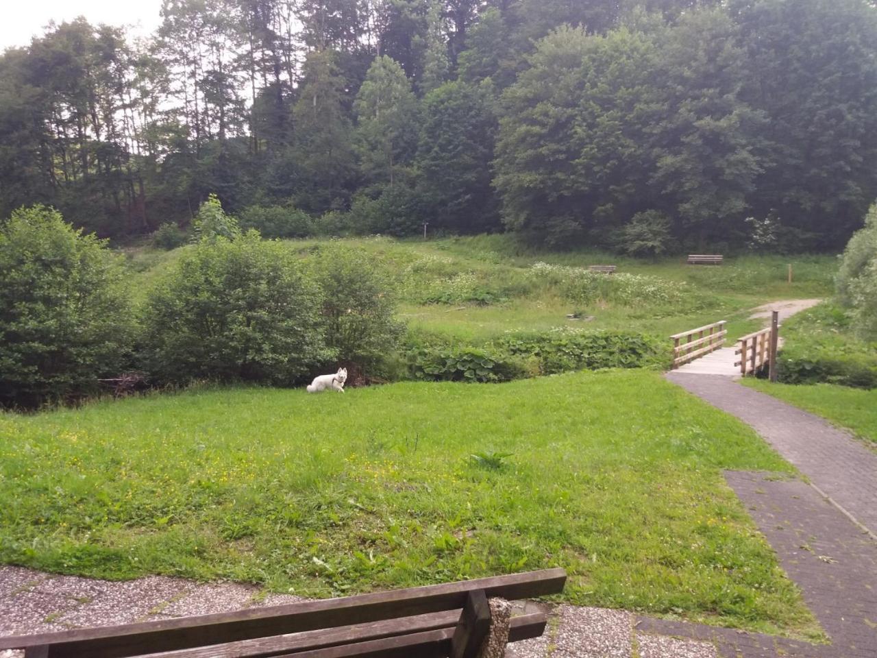 Photo 42