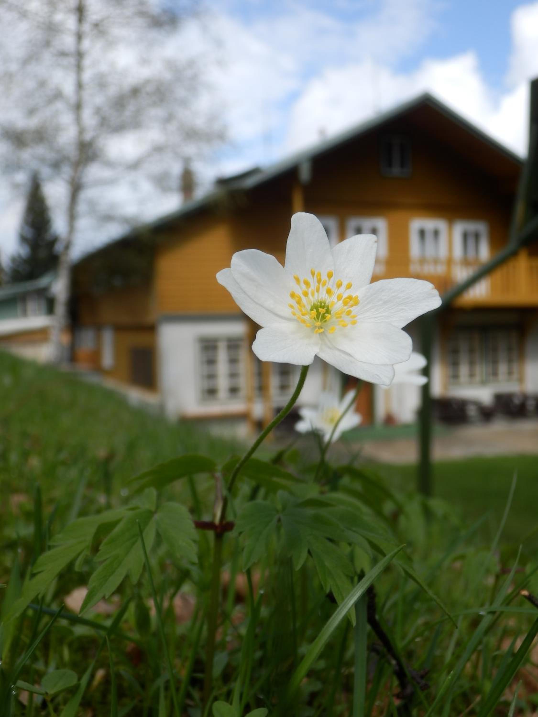 Pension Rychta