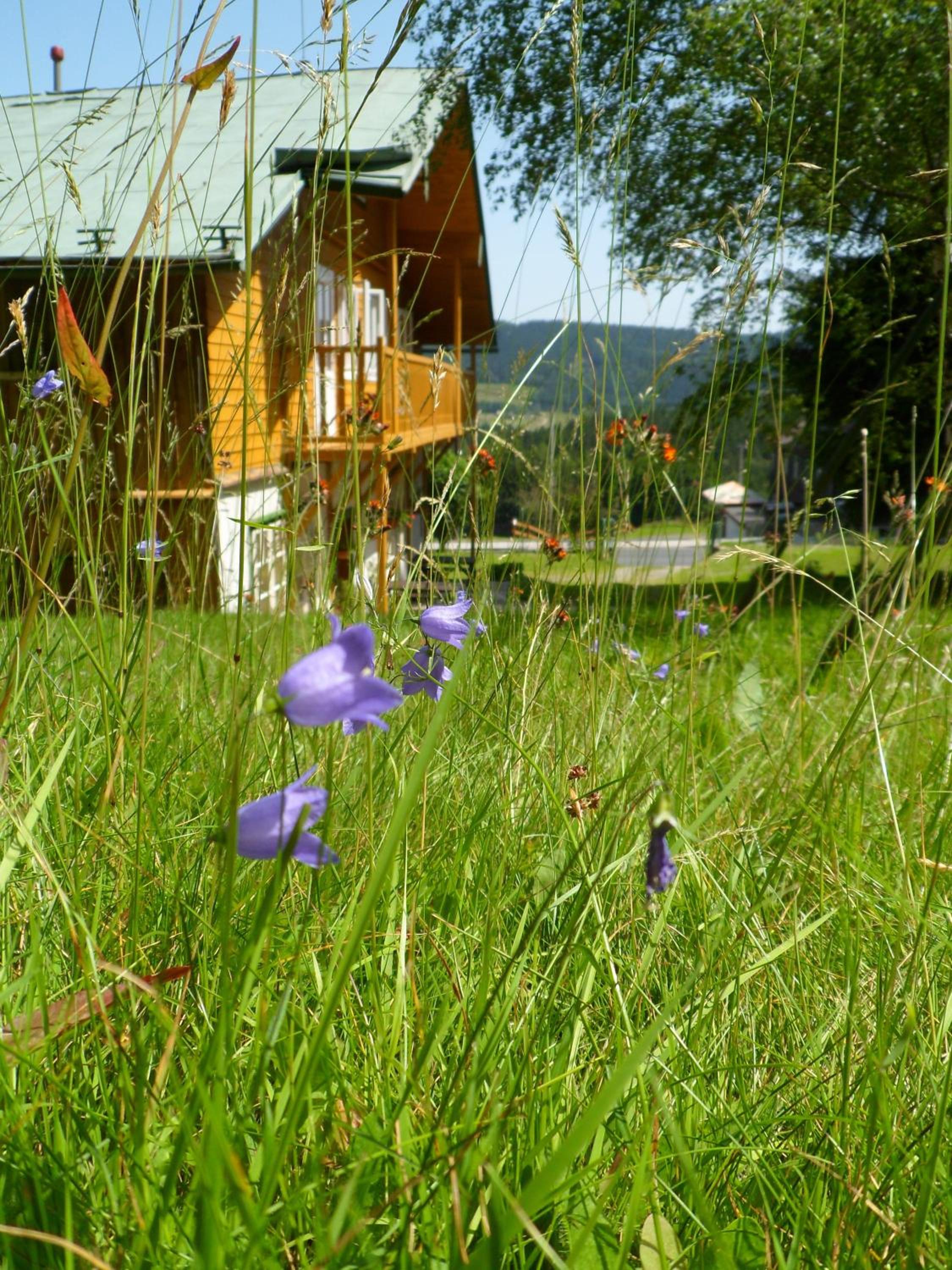 Pension Rychta