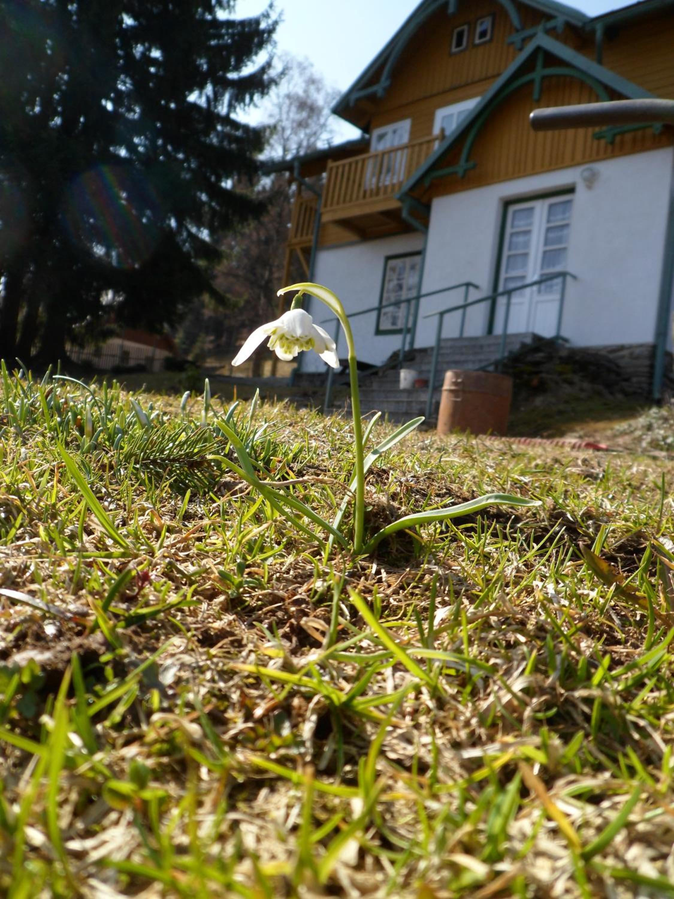 Pension Rychta