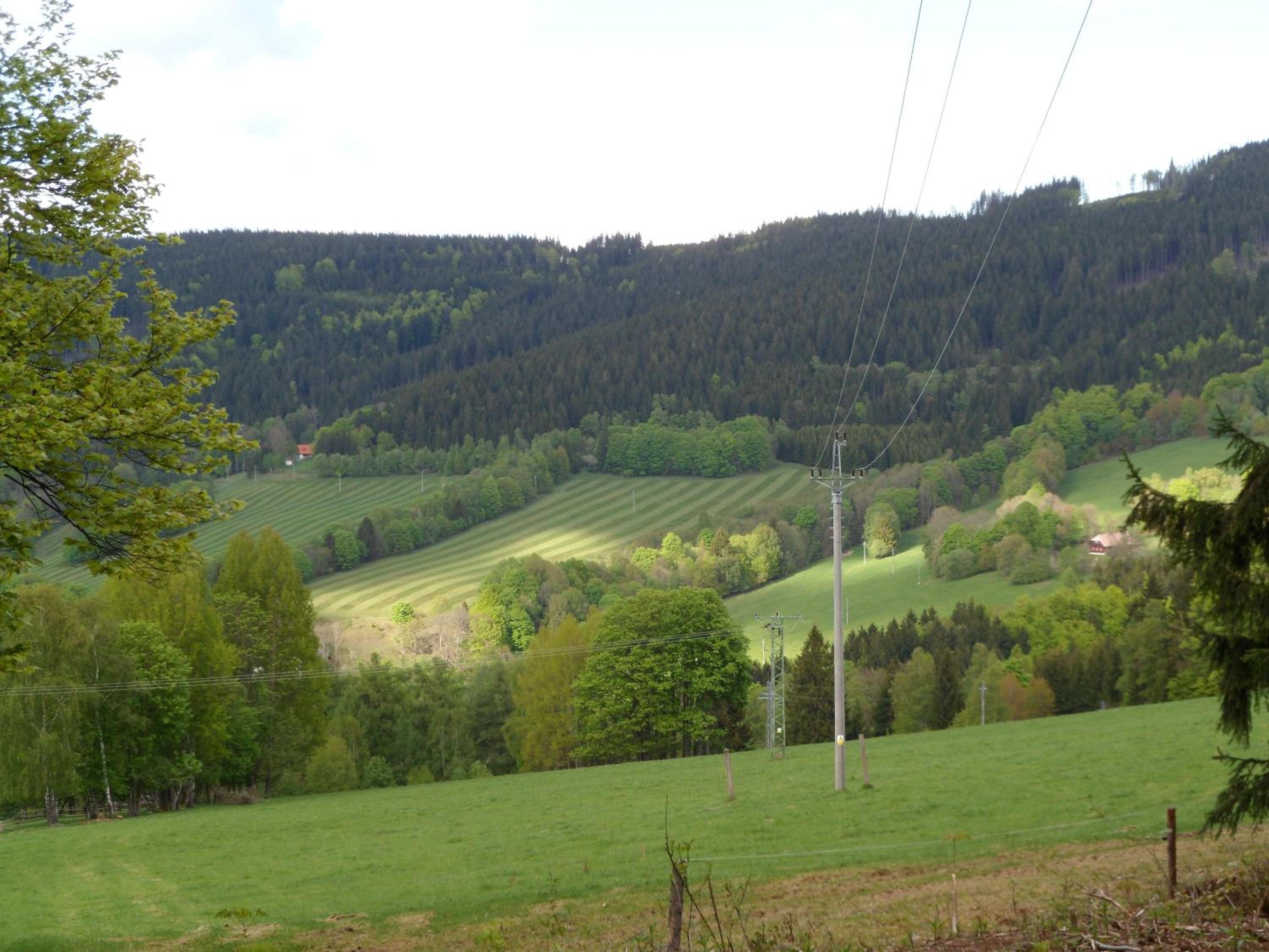 Pension Rychta
