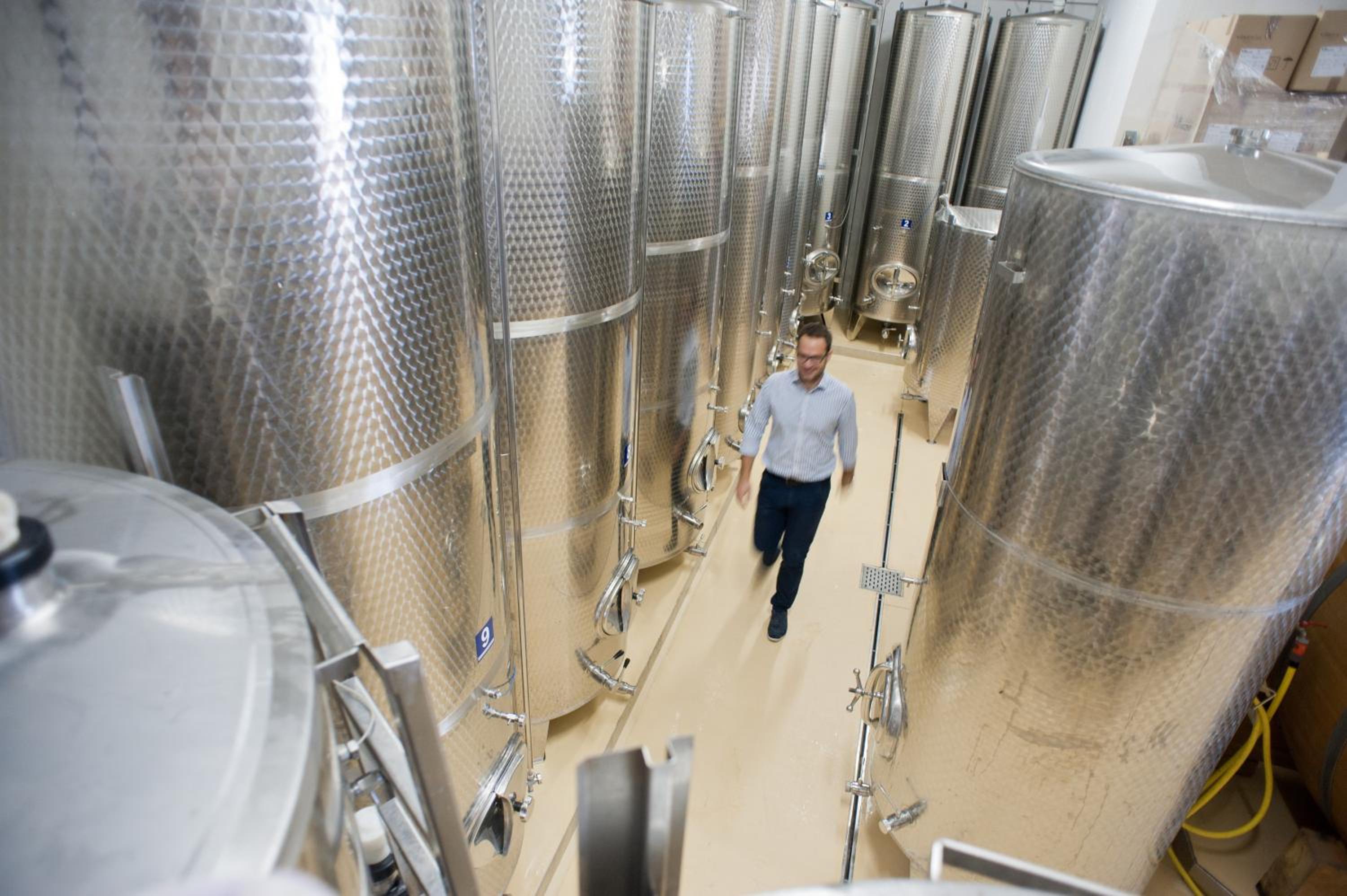 Weingut Schauer view 5