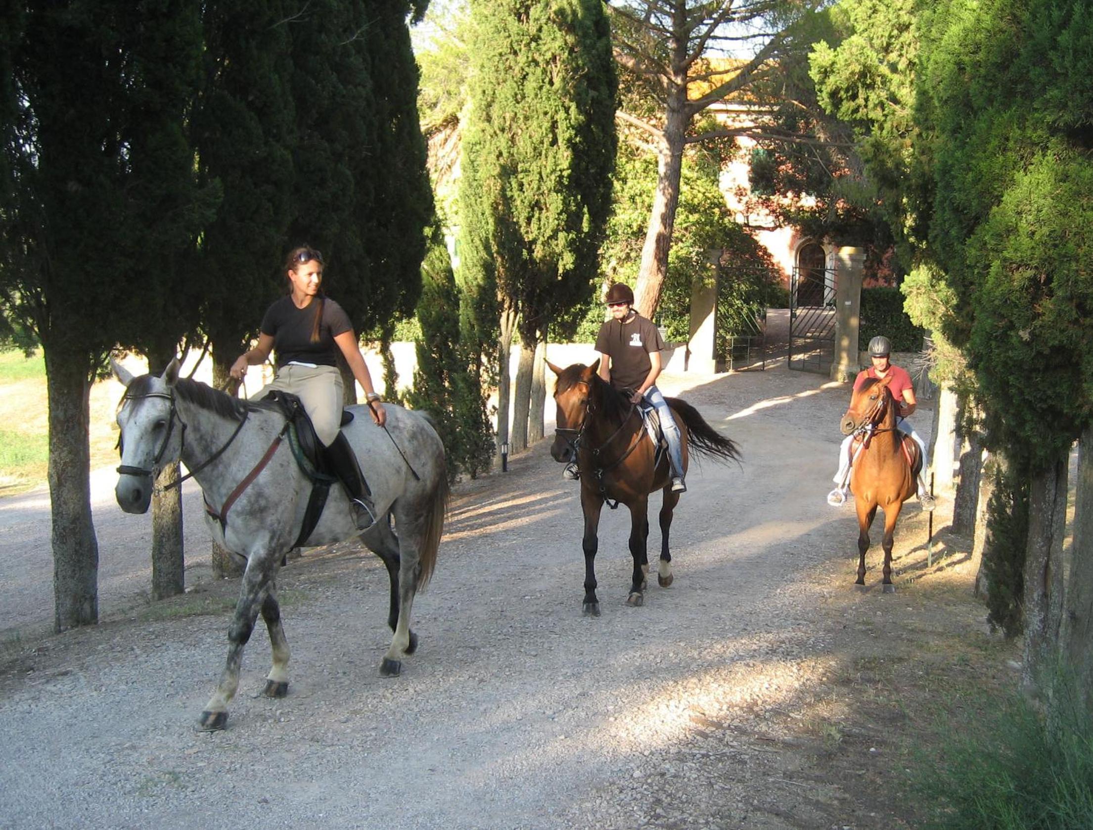 Agriturismo Bio Podere Doganelle