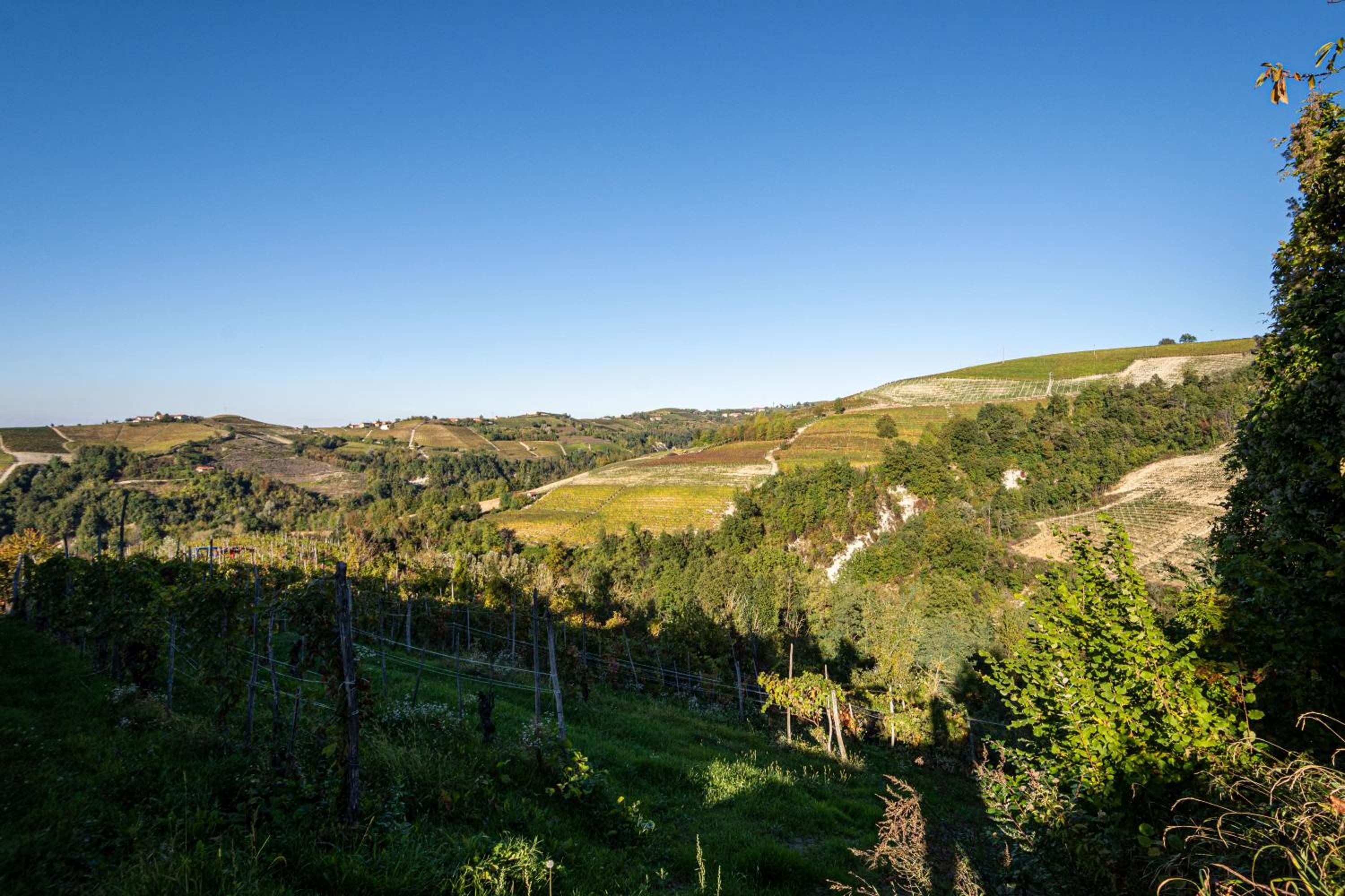 Splendido rustico nella Langa
