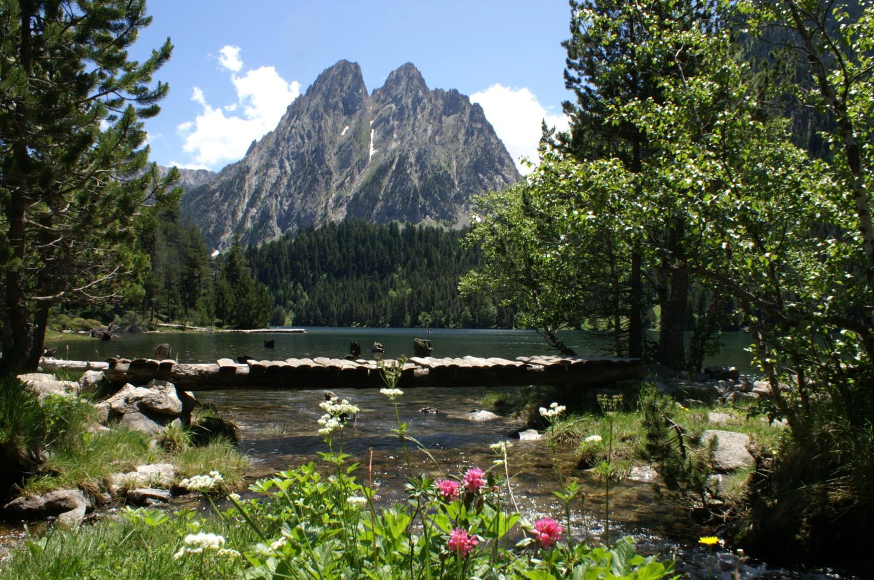 Photo 32