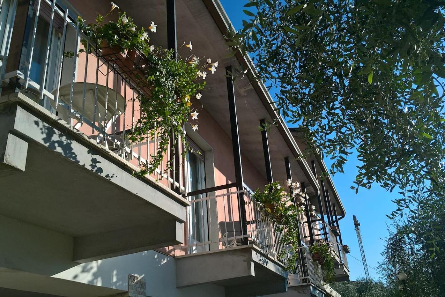 Photo 35