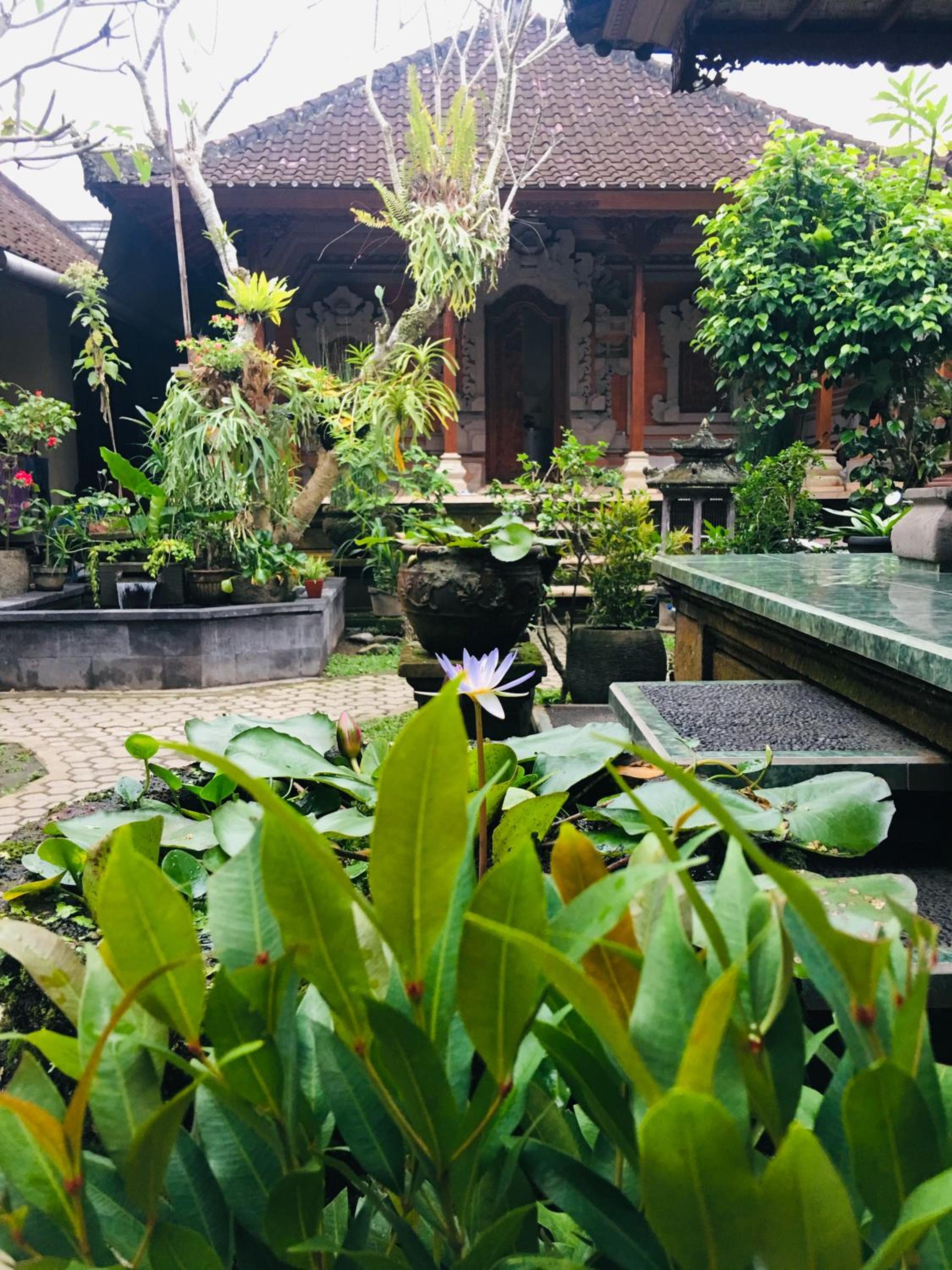 Wina Ubud B&B