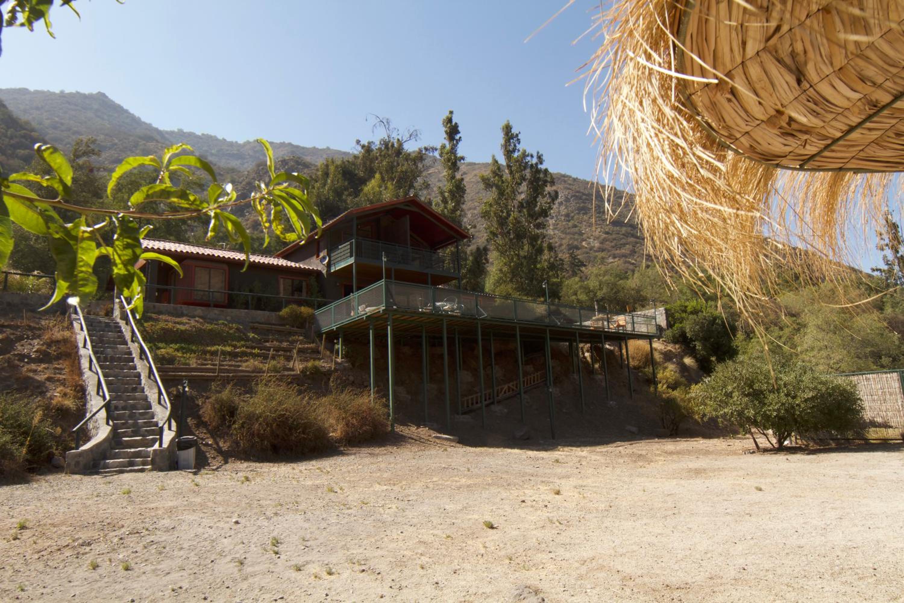 Photo 8