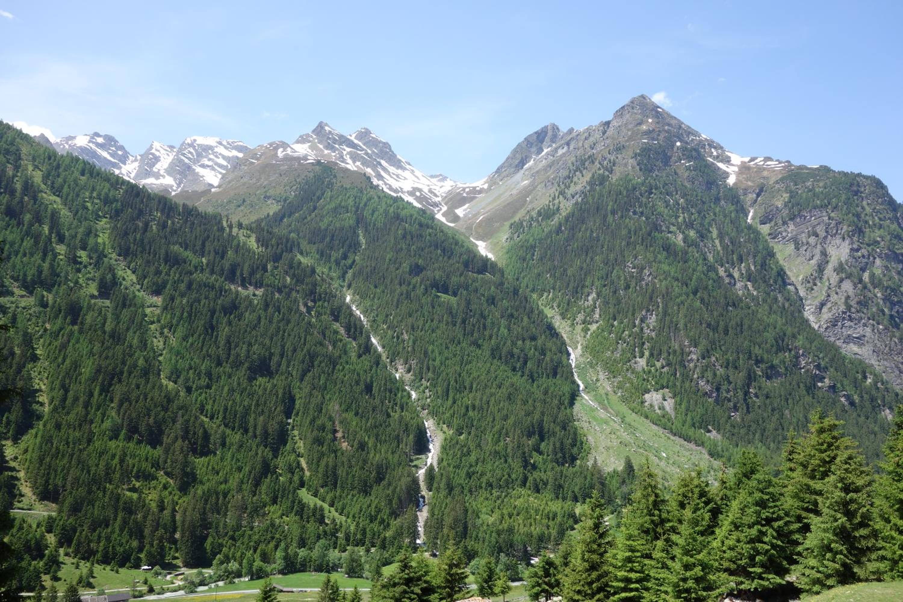 Photo 19