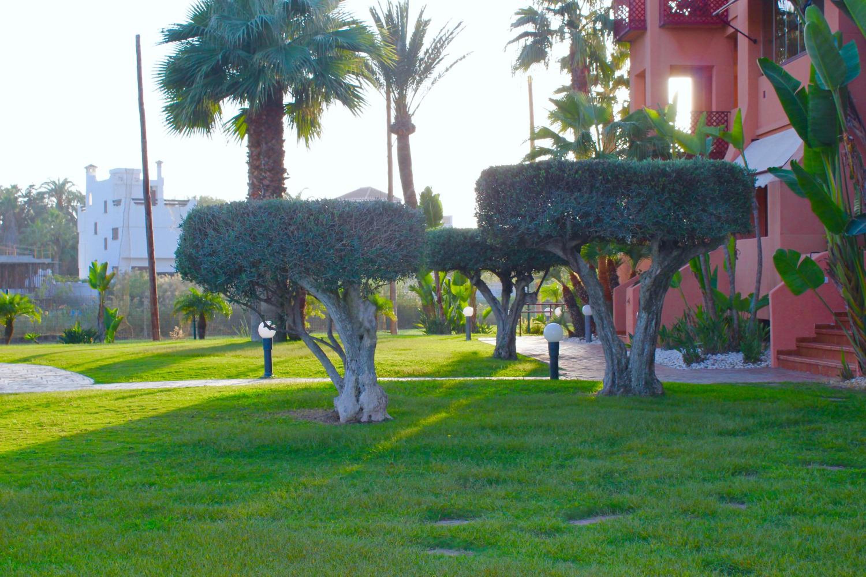 Photo 46