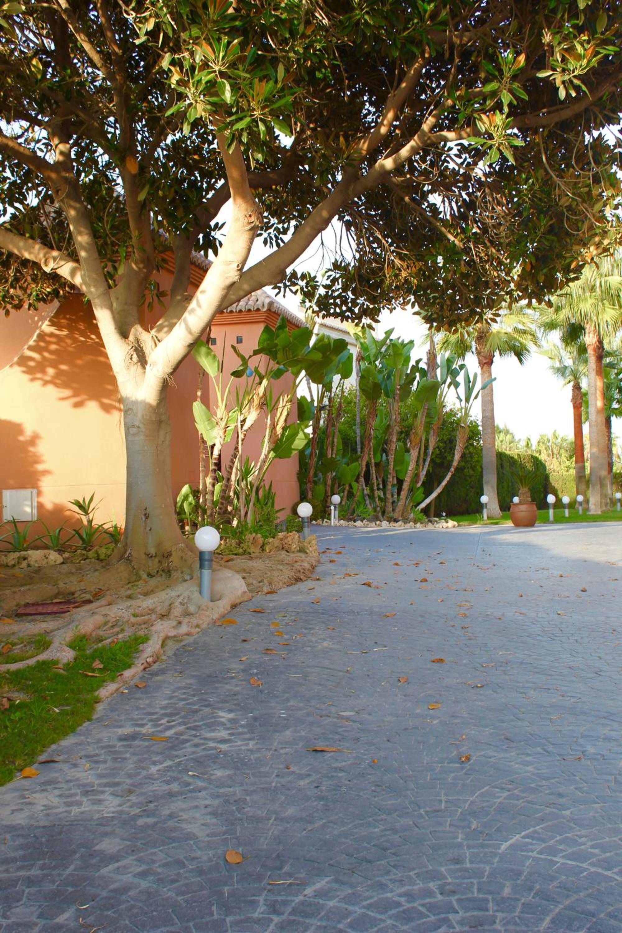 Photo 52