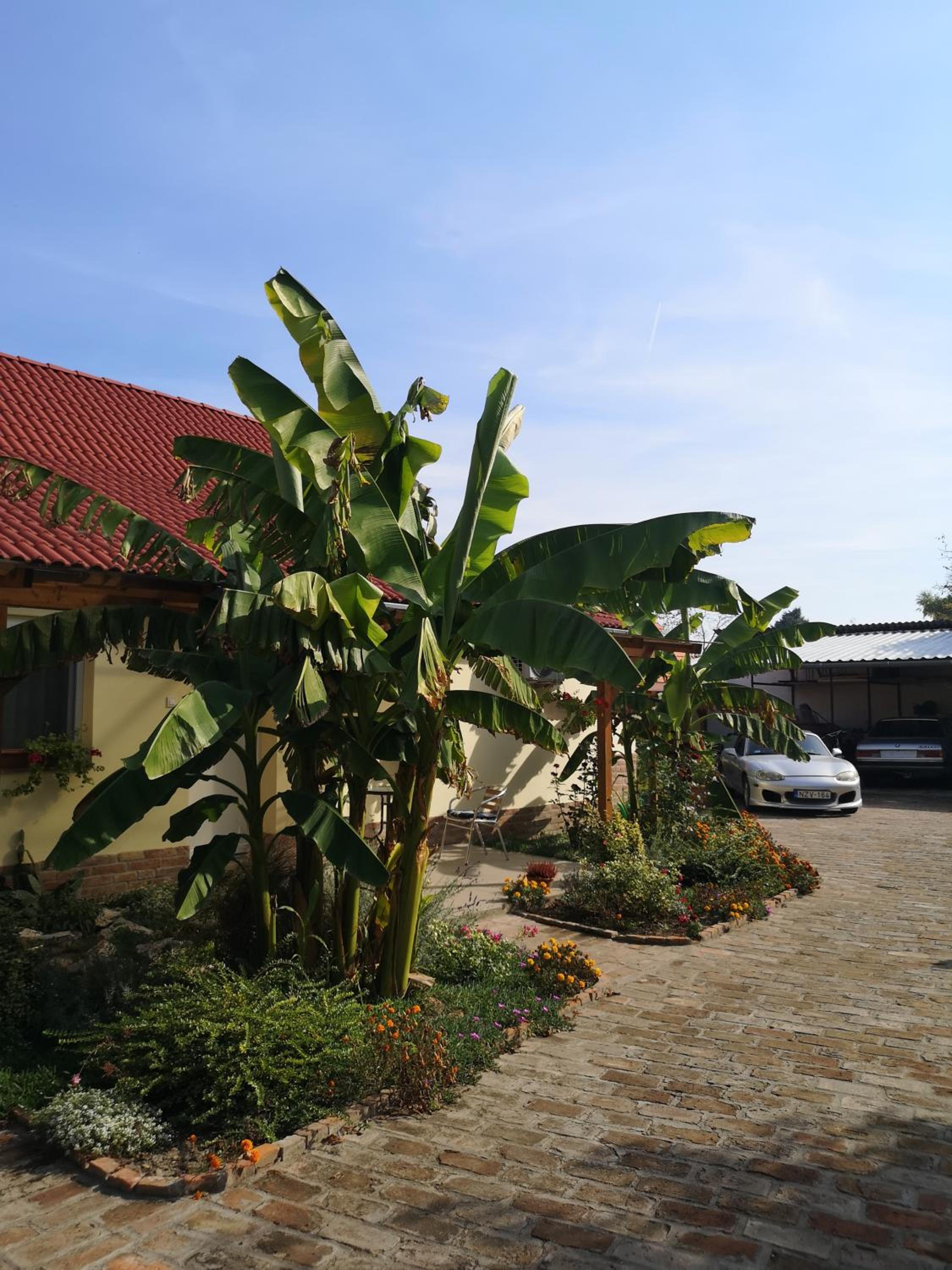 Ráday Apartman view 2