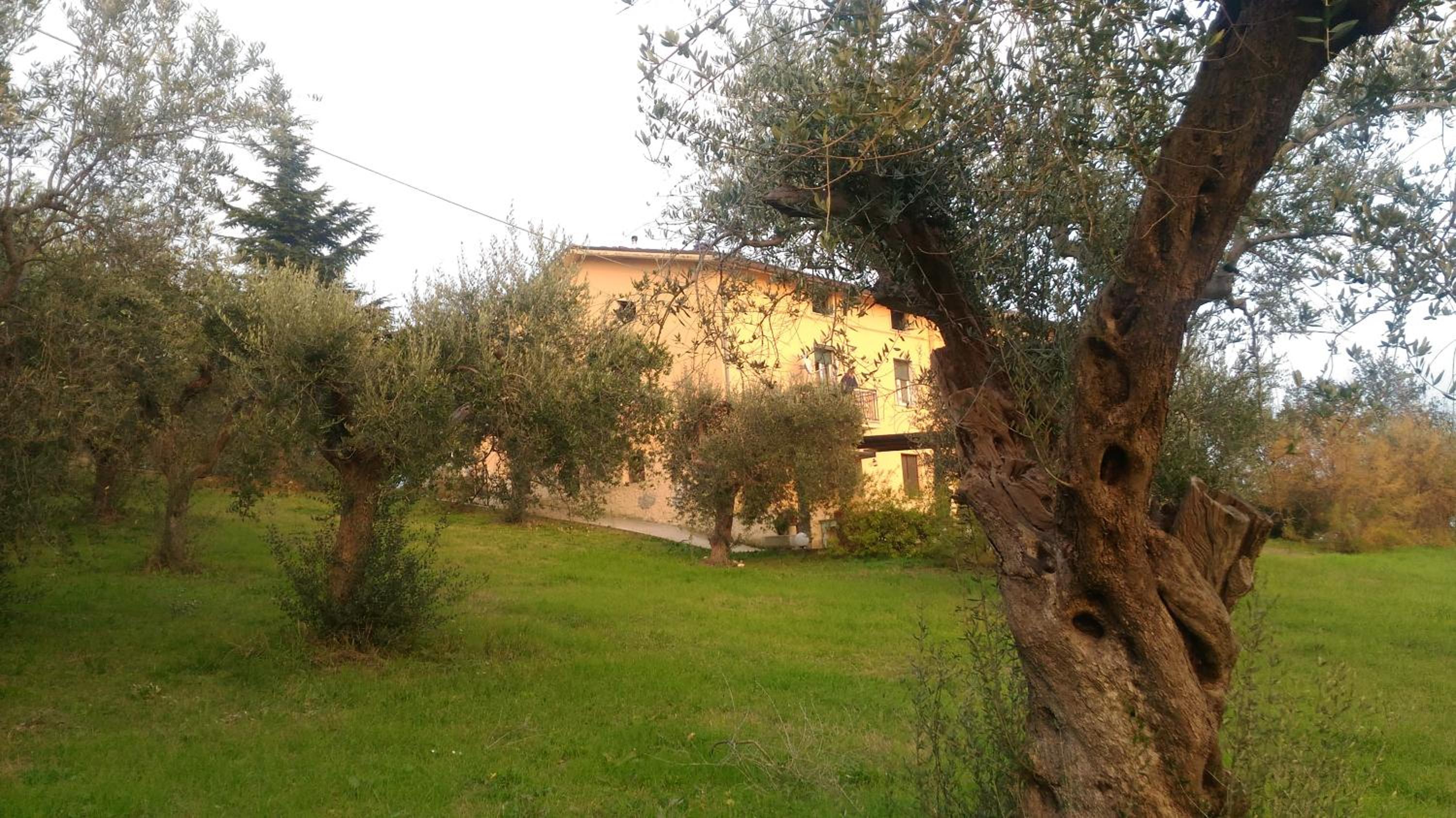 Photo 33