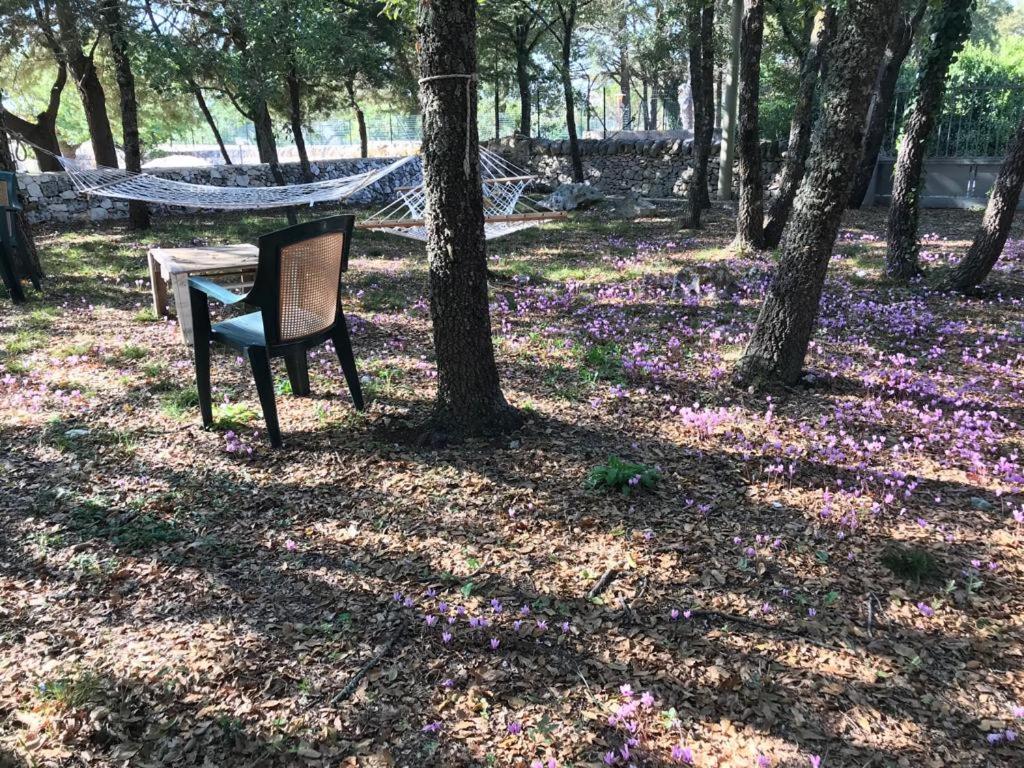 Villa Venus Woods view 3