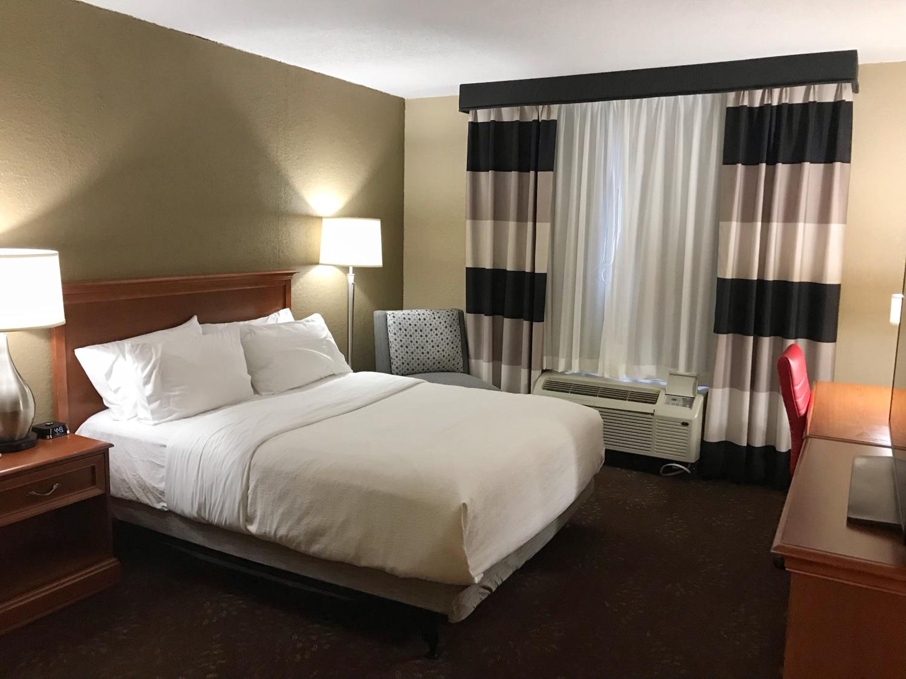 Holiday Inn Alexandria, an IHG Hotel - Property Image 20