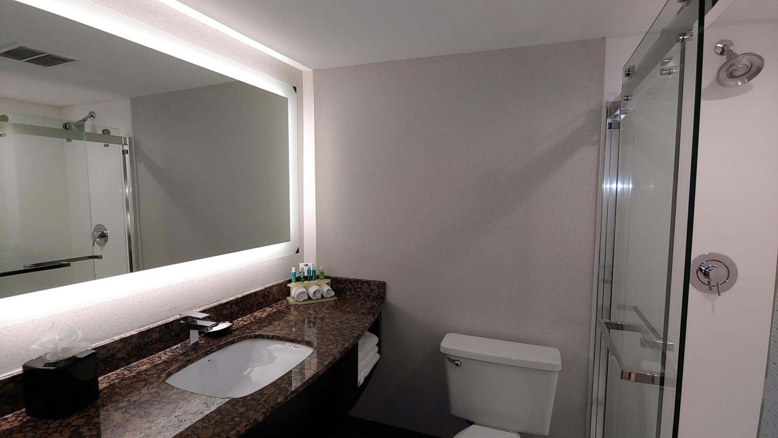 Holiday Inn Express Schaumburg-Rolling Meadows, an IHG Hotel - Property Image 12