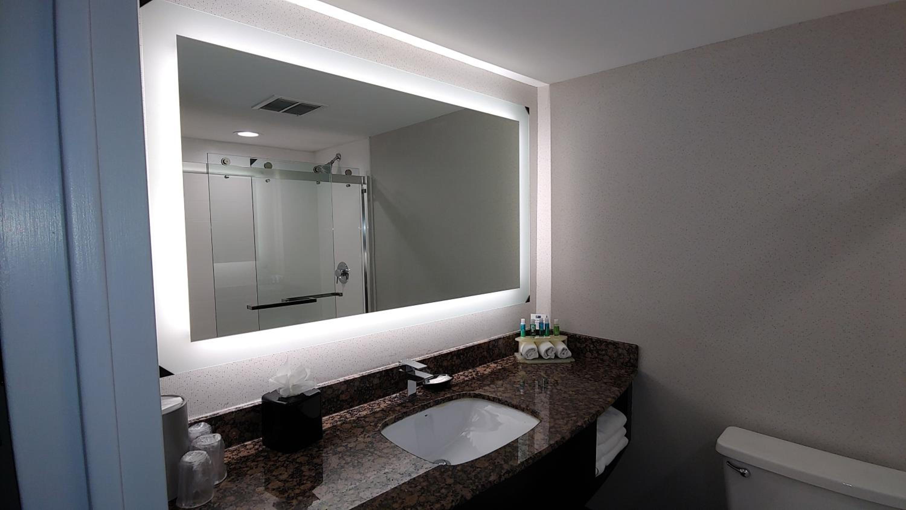 Holiday Inn Express Schaumburg-Rolling Meadows, an IHG Hotel - Property Image 10