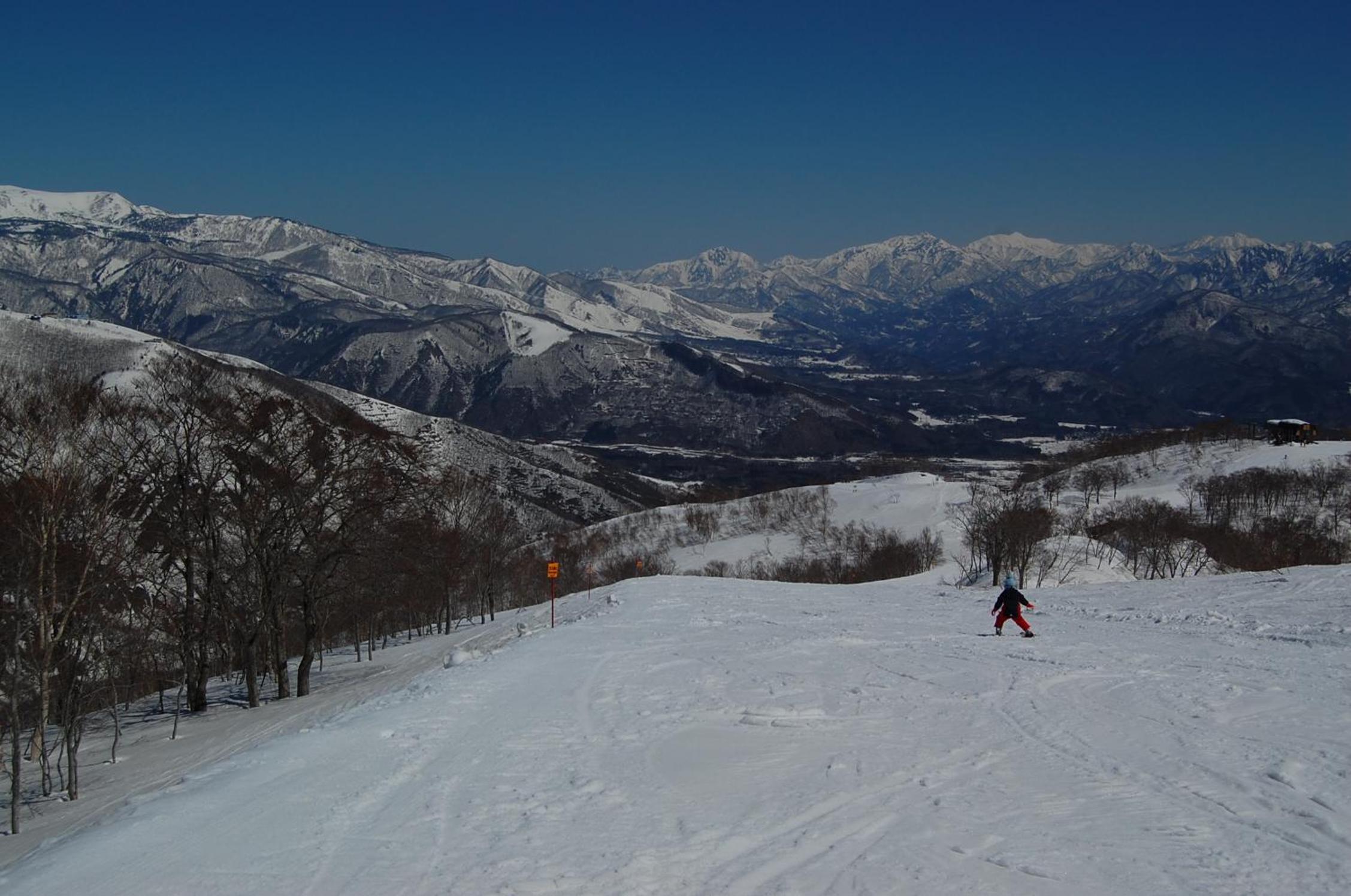 Il Bosco